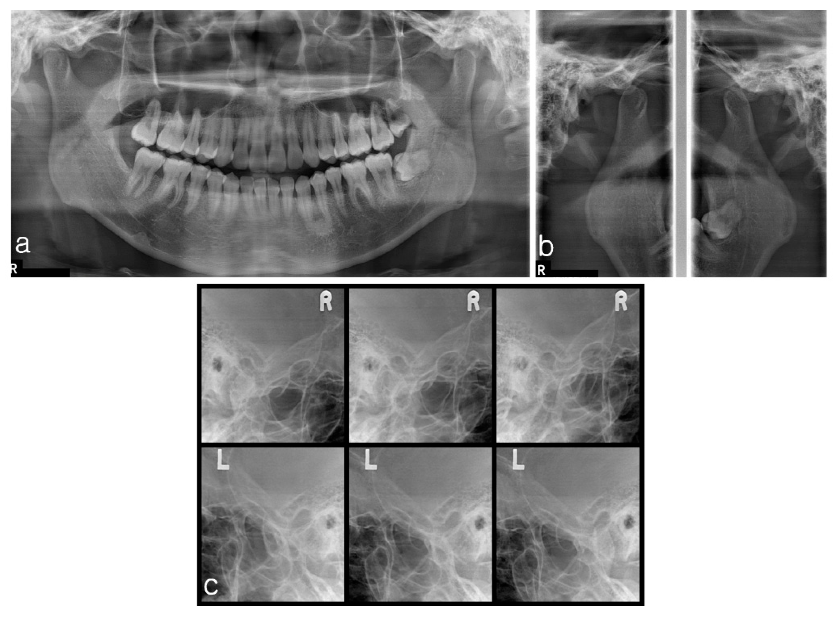 Applsci 11 05824 g005