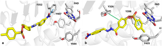 Applied Sciences | Free Full-Text | Synthesis of N′-(4-/3-/2-/Non ...