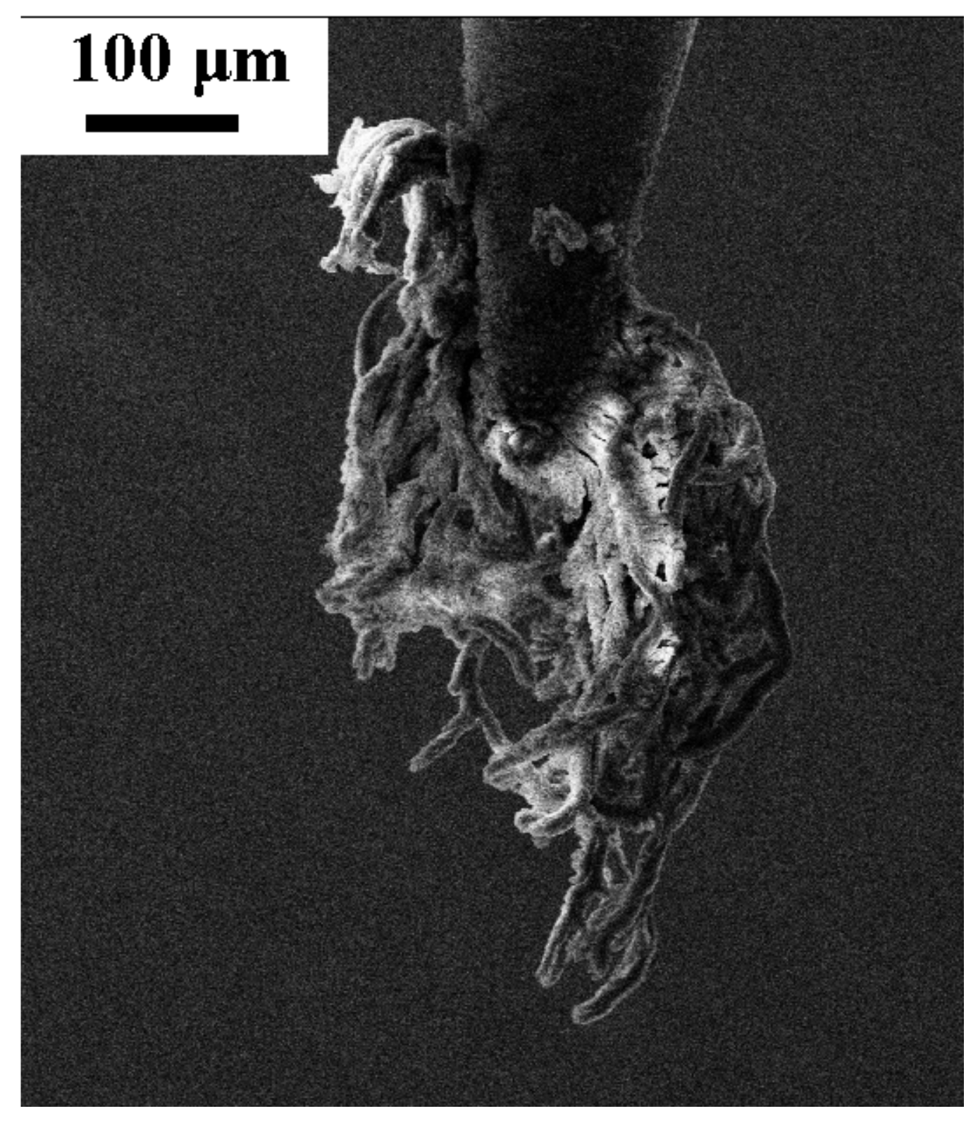 Applsci 11 05845 g015 Applsci 11 05845 g015