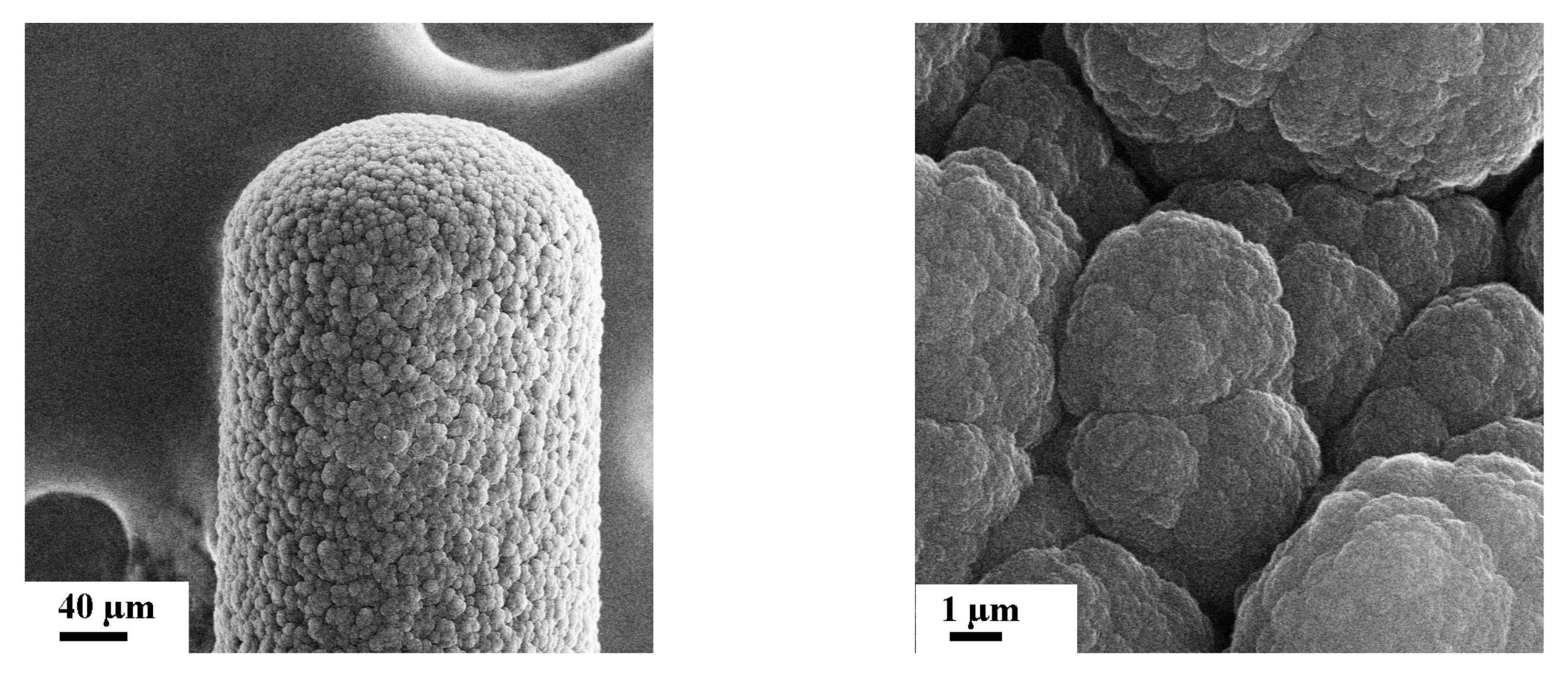 Applsci 11 05845 g018 Applsci 11 05845 g018