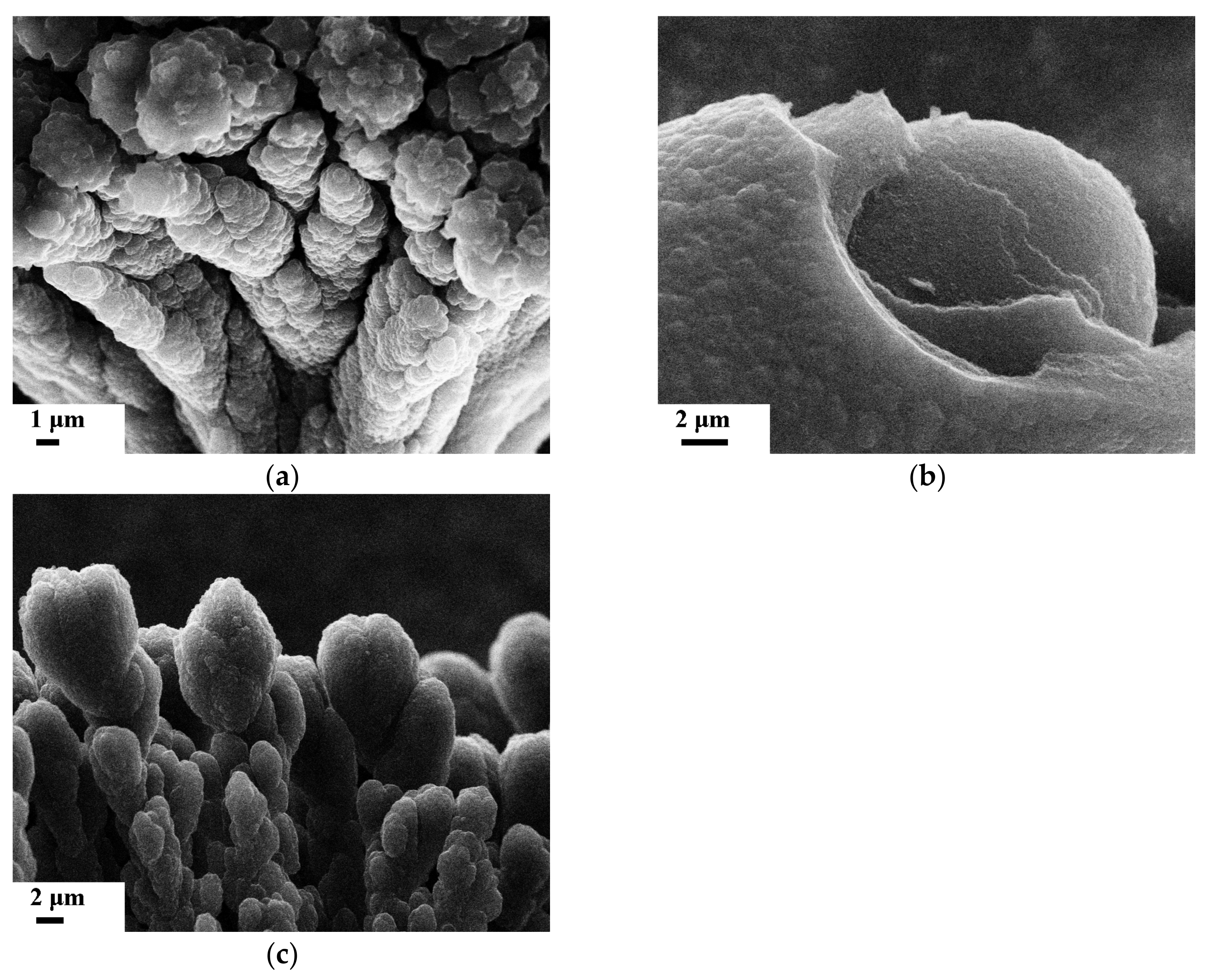 Applsci 11 05845 g019 Applsci 11 05845 g019