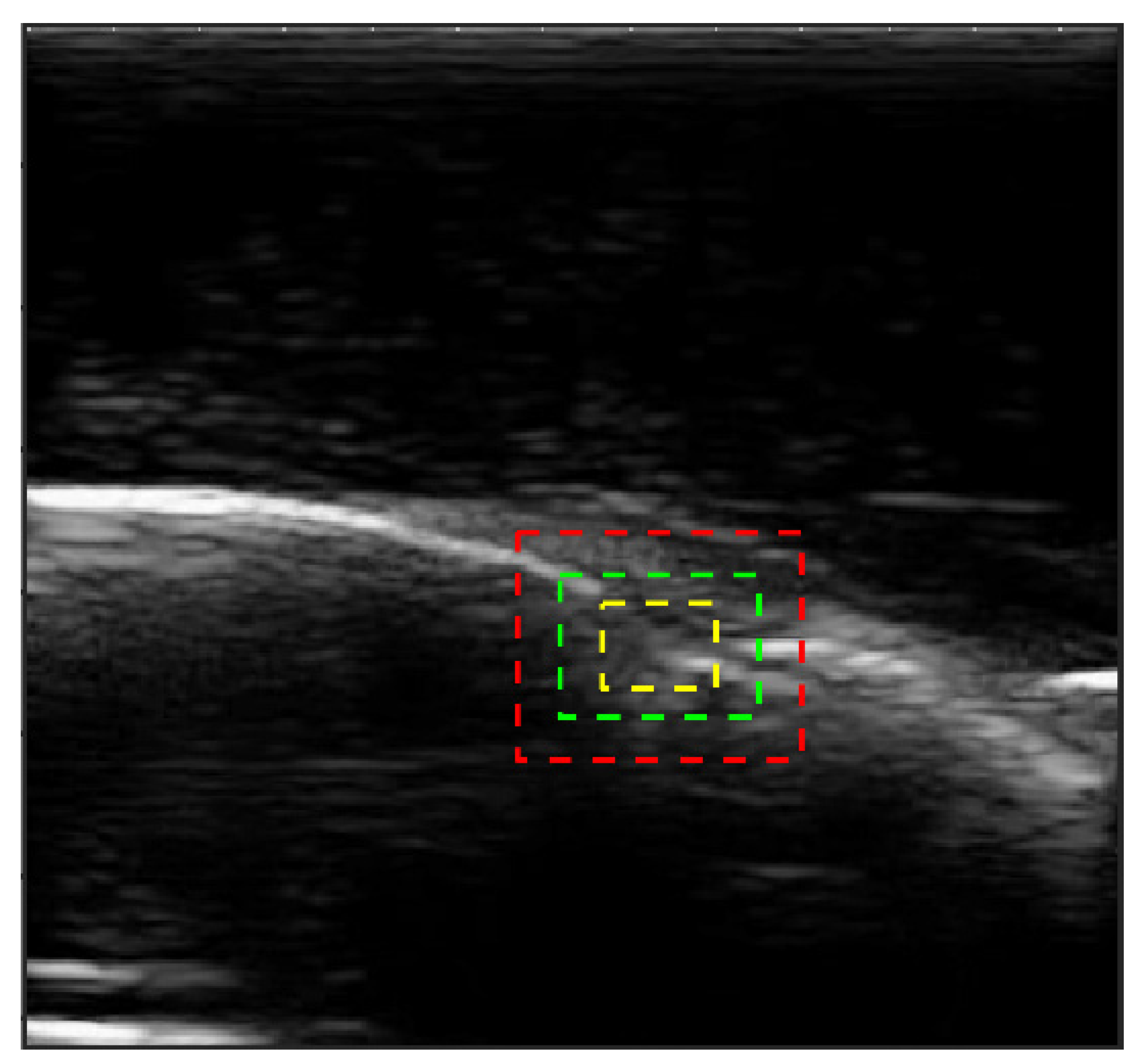 Applsci 11 05850 g003 Applsci 11 05850 g003