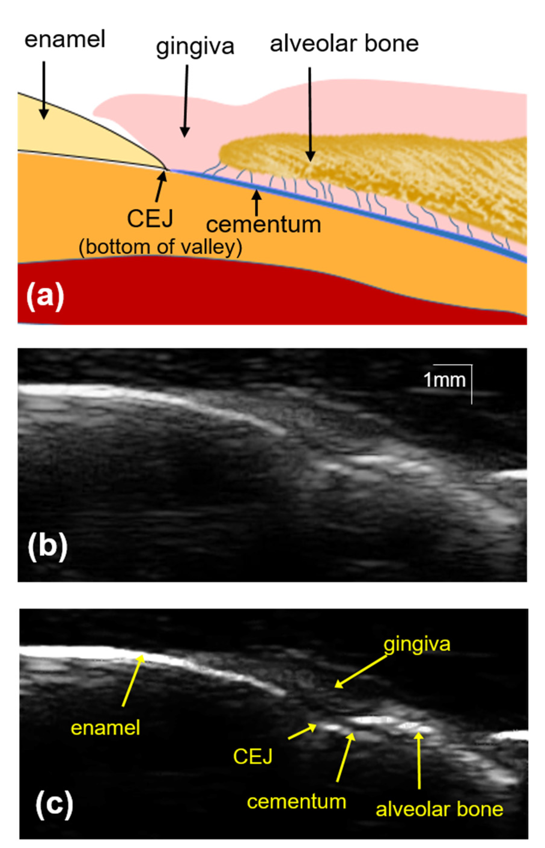Applsci 11 05850 g004 Applsci 11 05850 g004