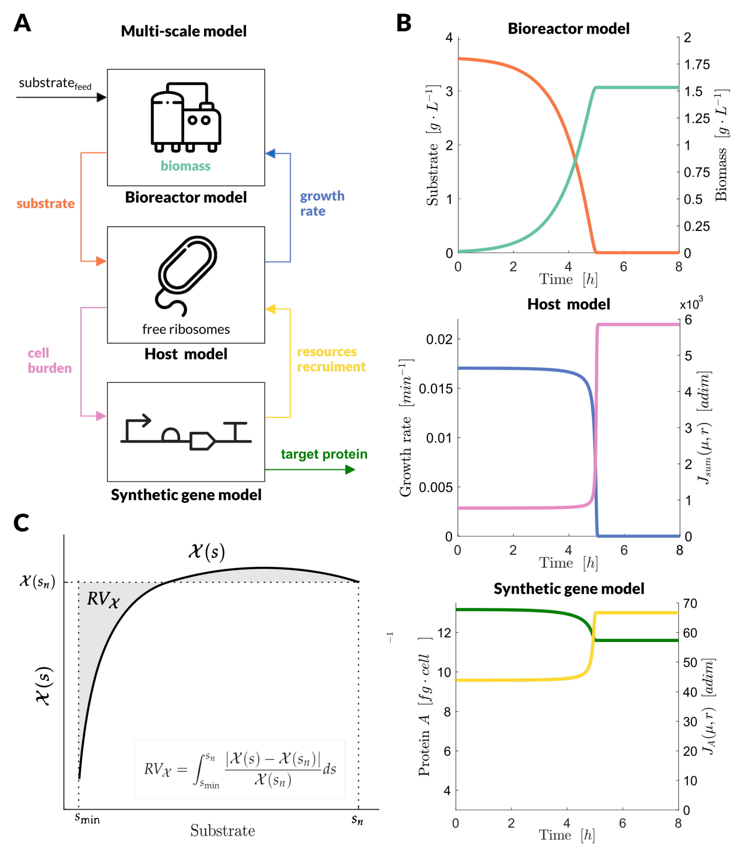 Applsci 11 05859 g001