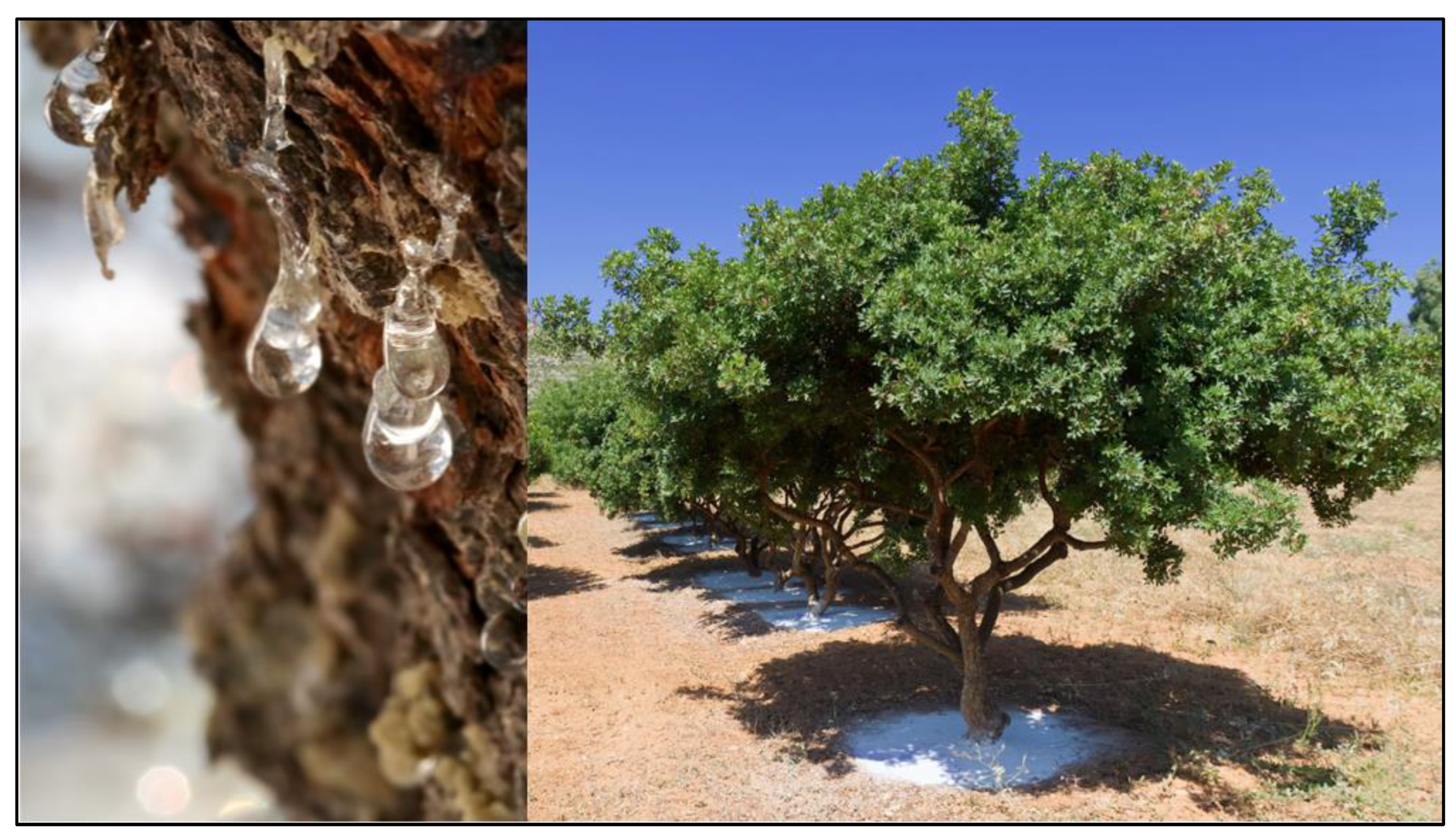 Applsci 11 05873 g002 550