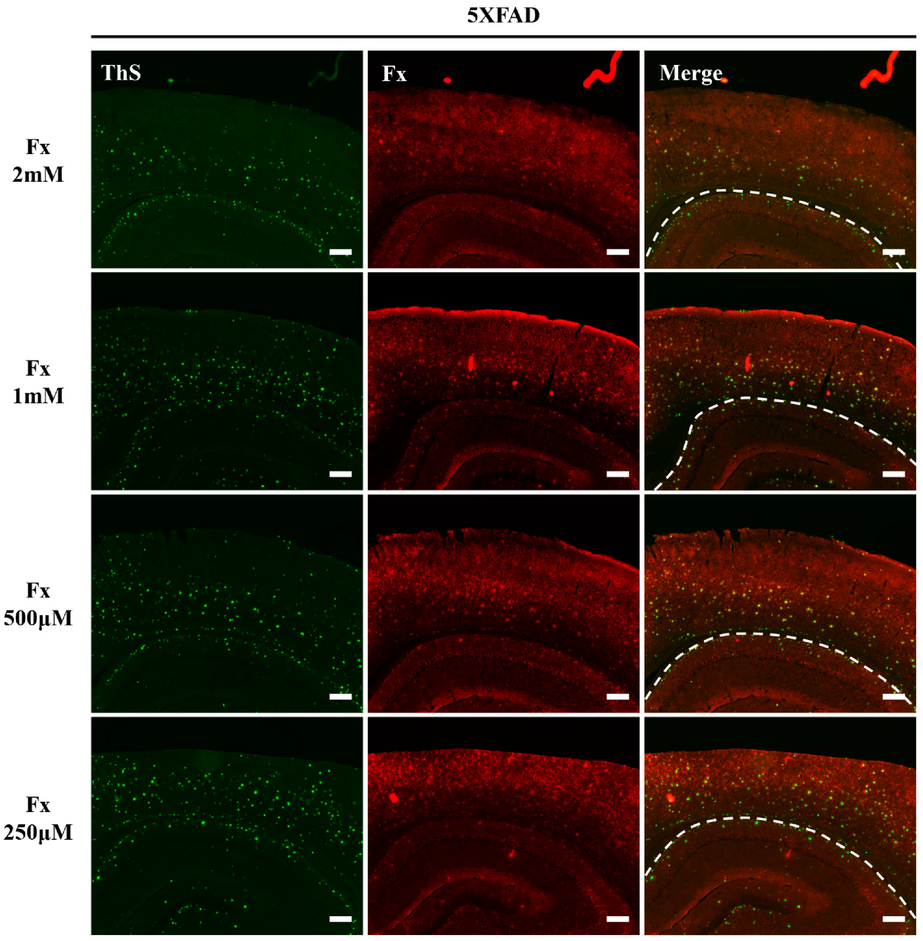 Applsci 11 05878 g004 550