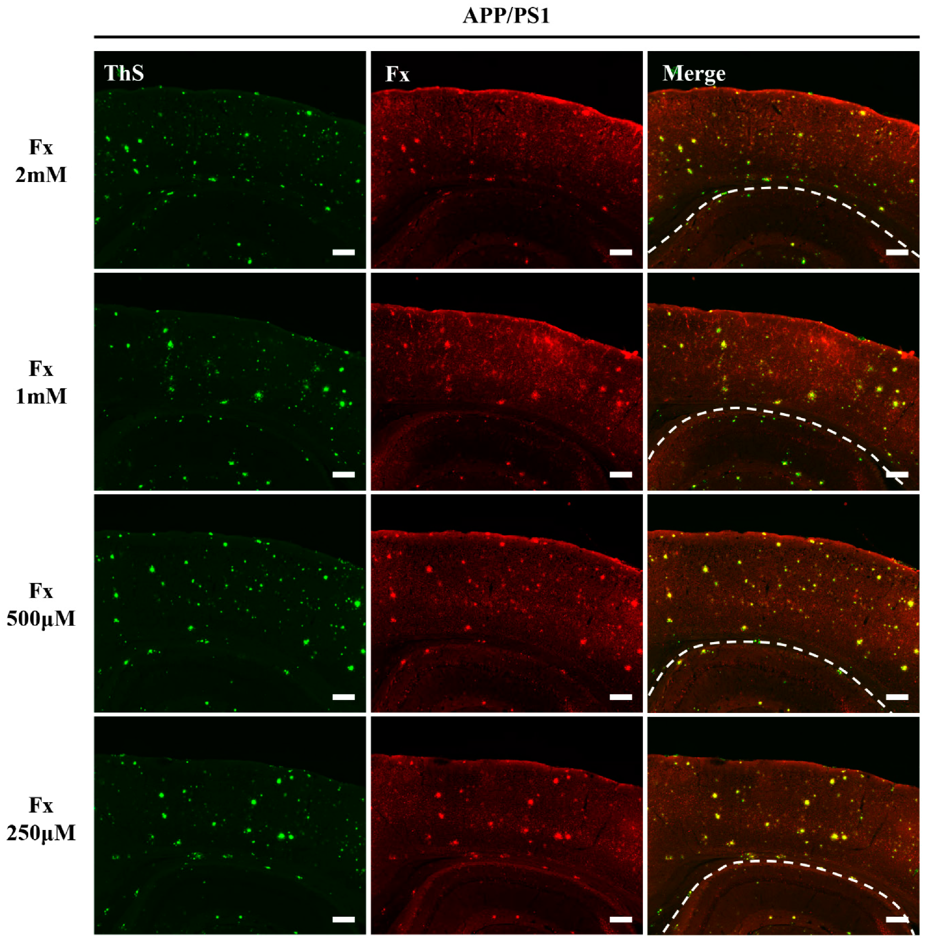 Applsci 11 05878 g005 550