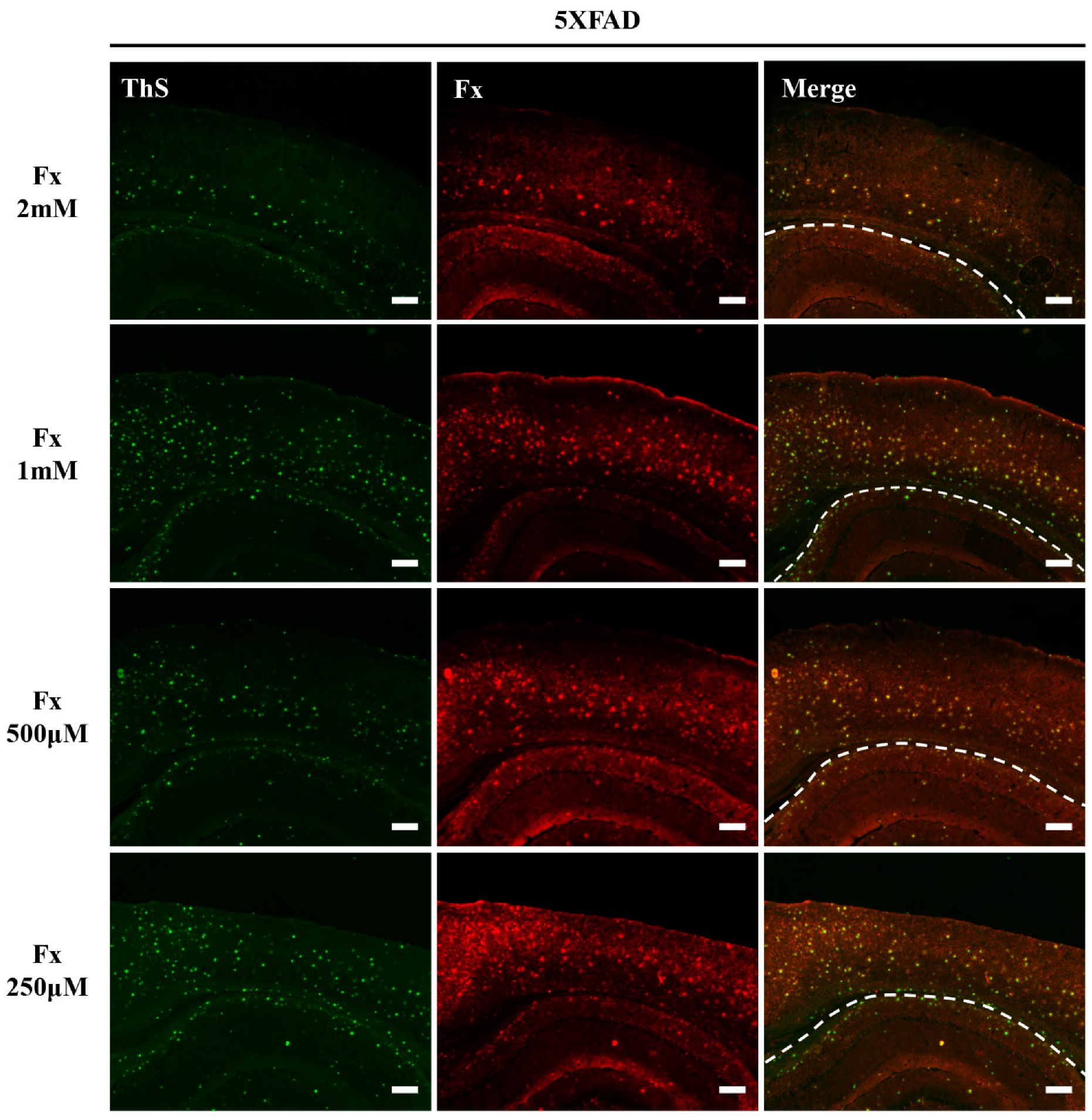 Applsci 11 05878 g006 550