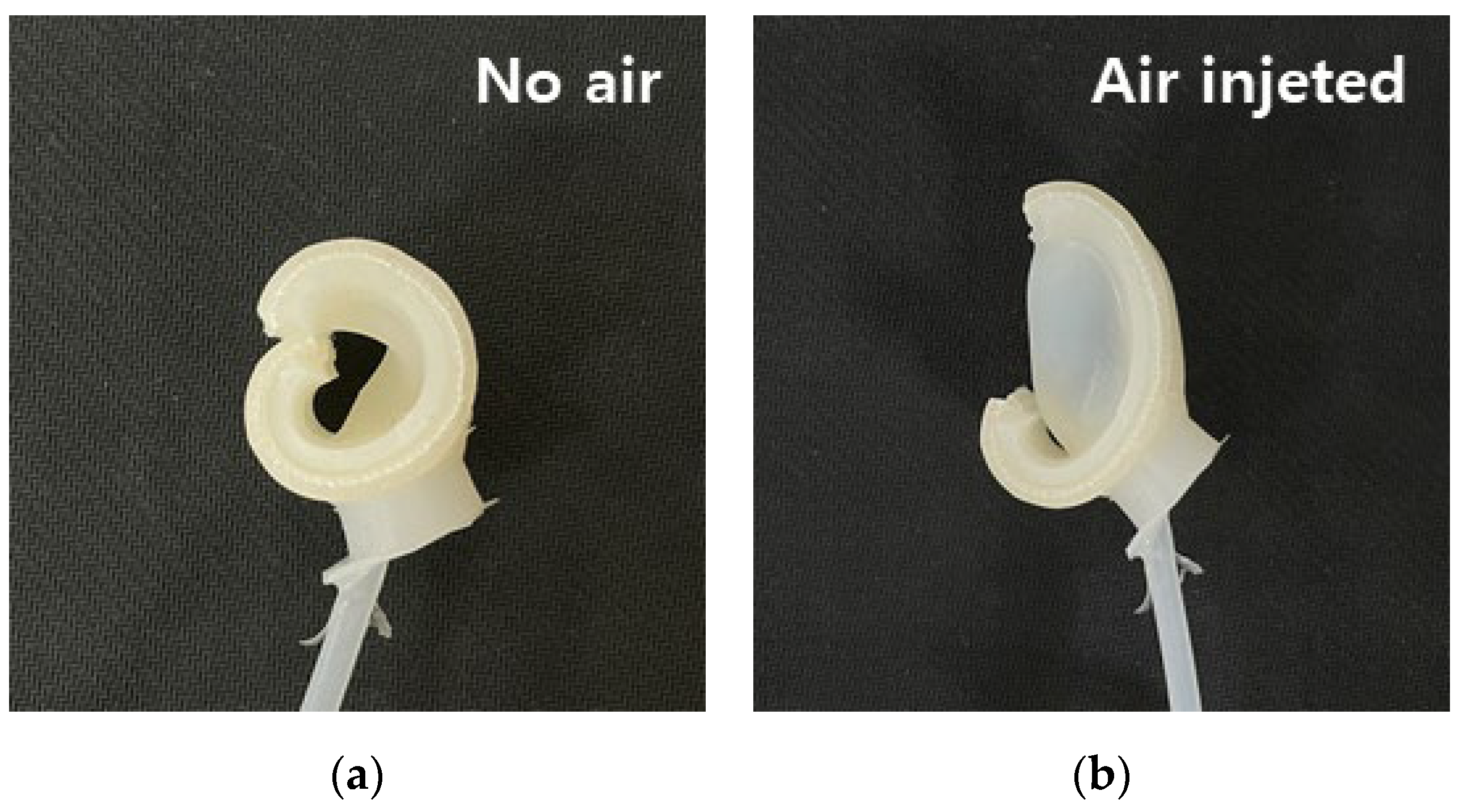 Applsci 11 05891 g007