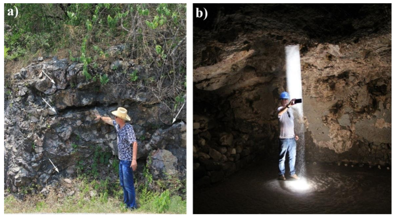 Applsci 11 05893 g001 550