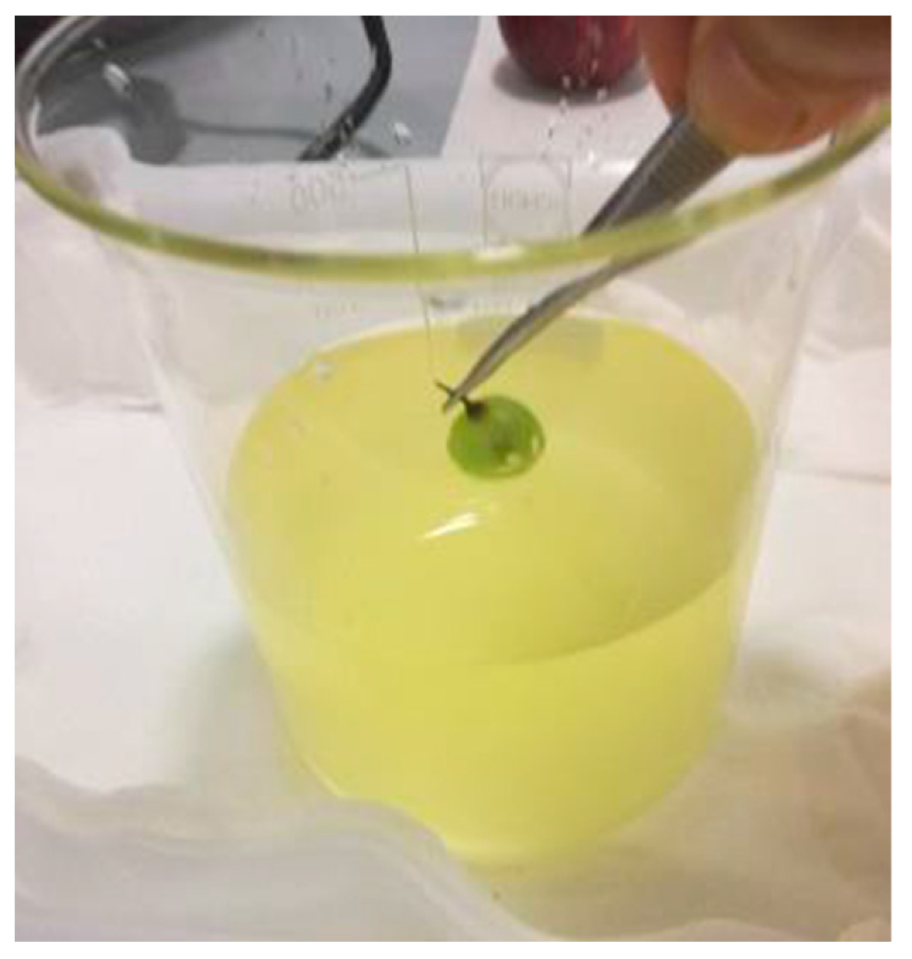 Applsci 11 05904 g001