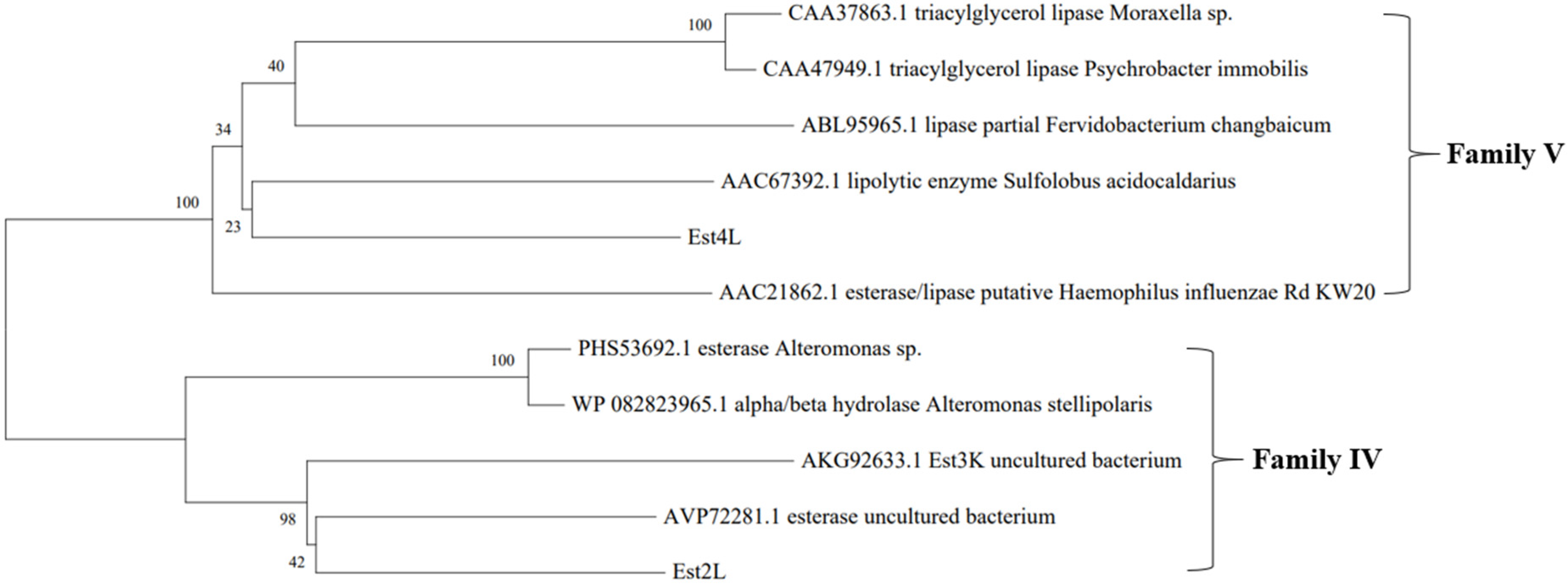 Applsci 11 05905 g001 550