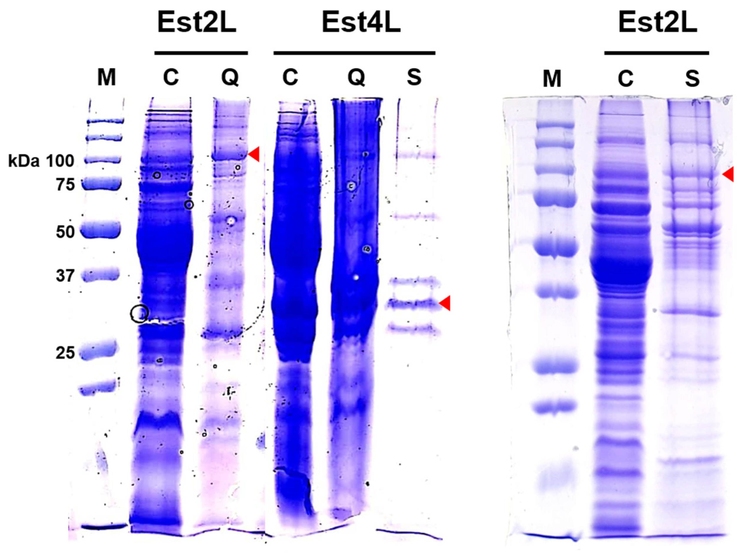 Applsci 11 05905 g003 550