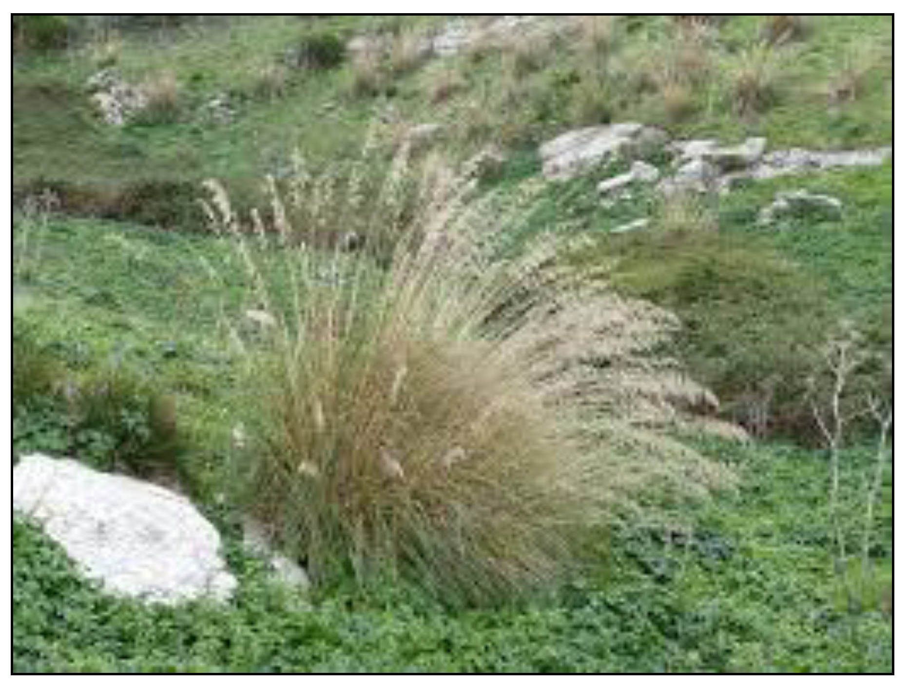 Applsci 11 05910 g001 550