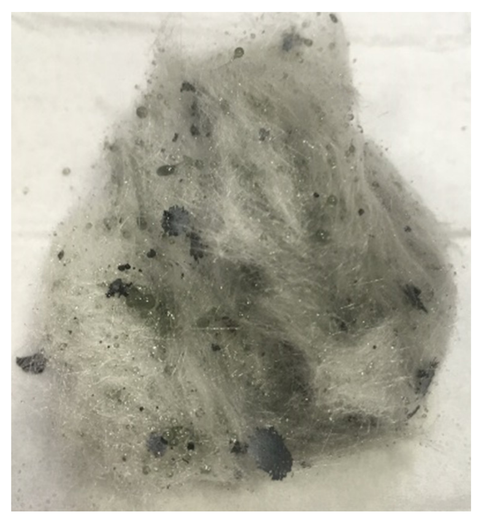 Applsci 11 05924 g004