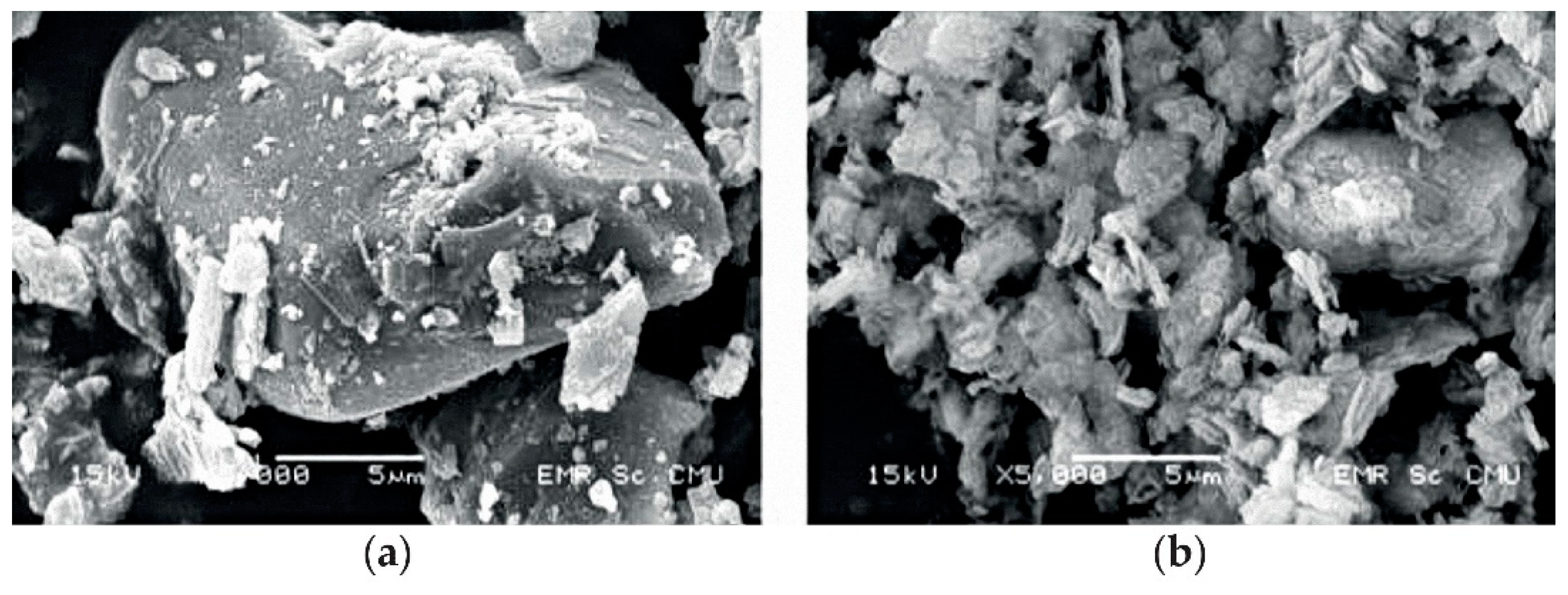 Applsci 11 05945 g003 550