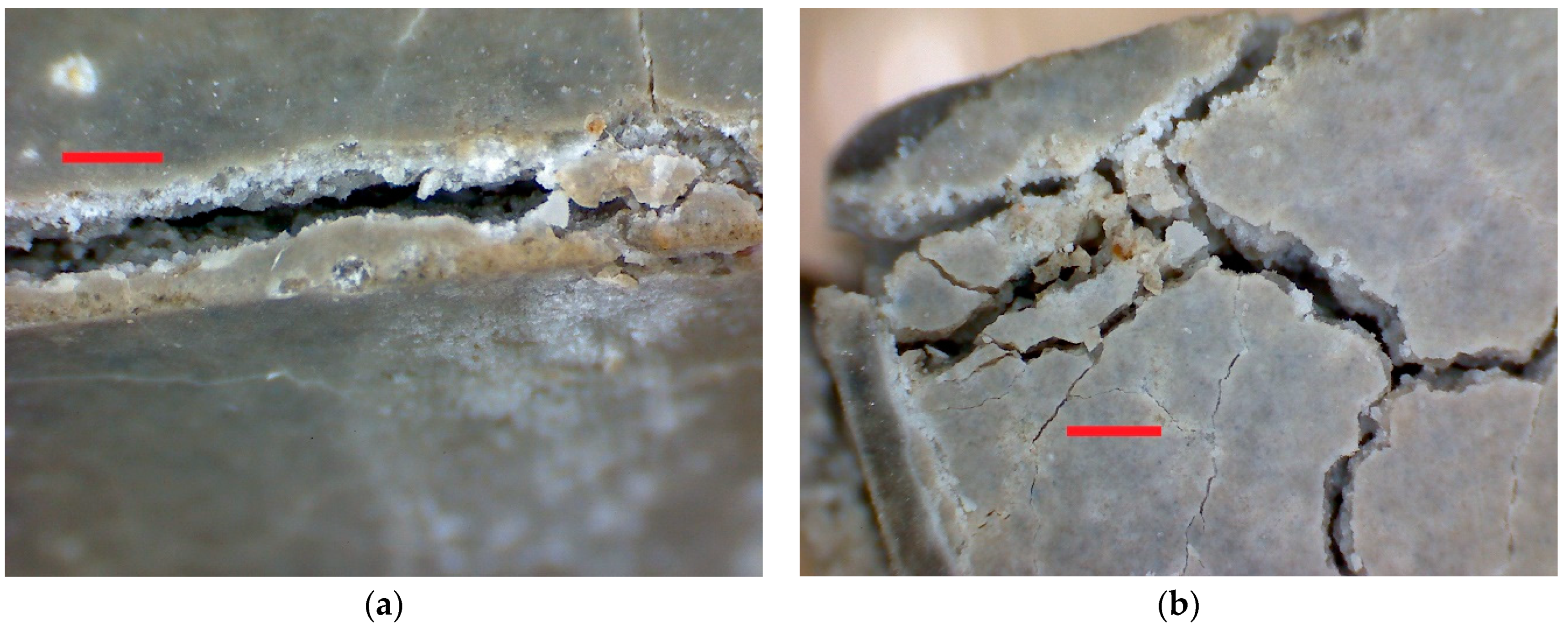 Applsci 11 05945 g016 550