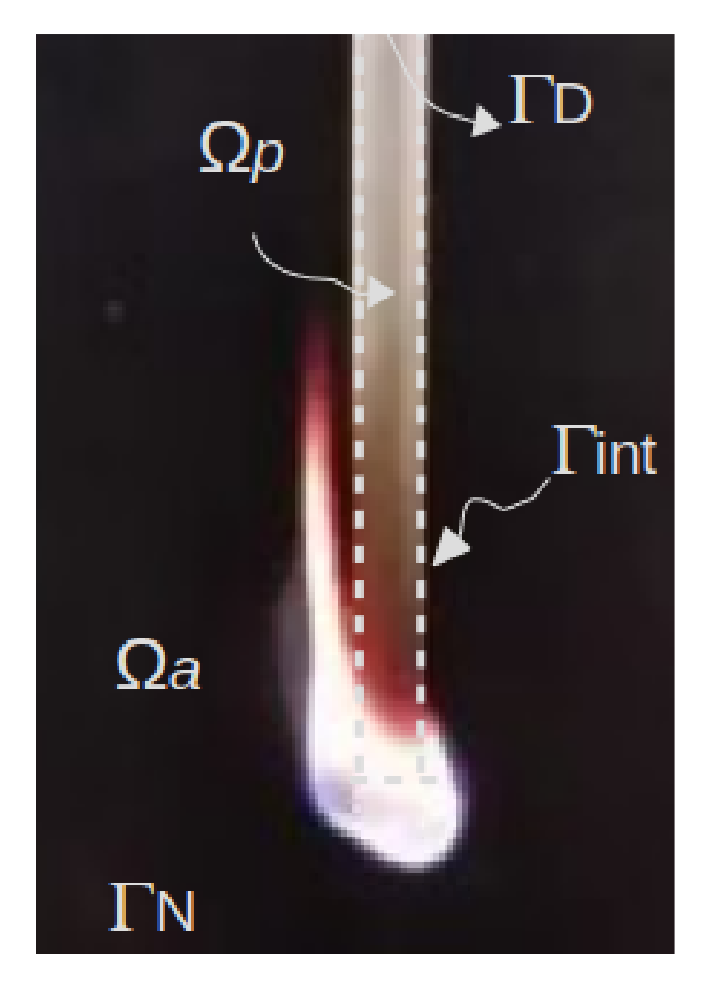 Applsci 11 05952 g001 550
