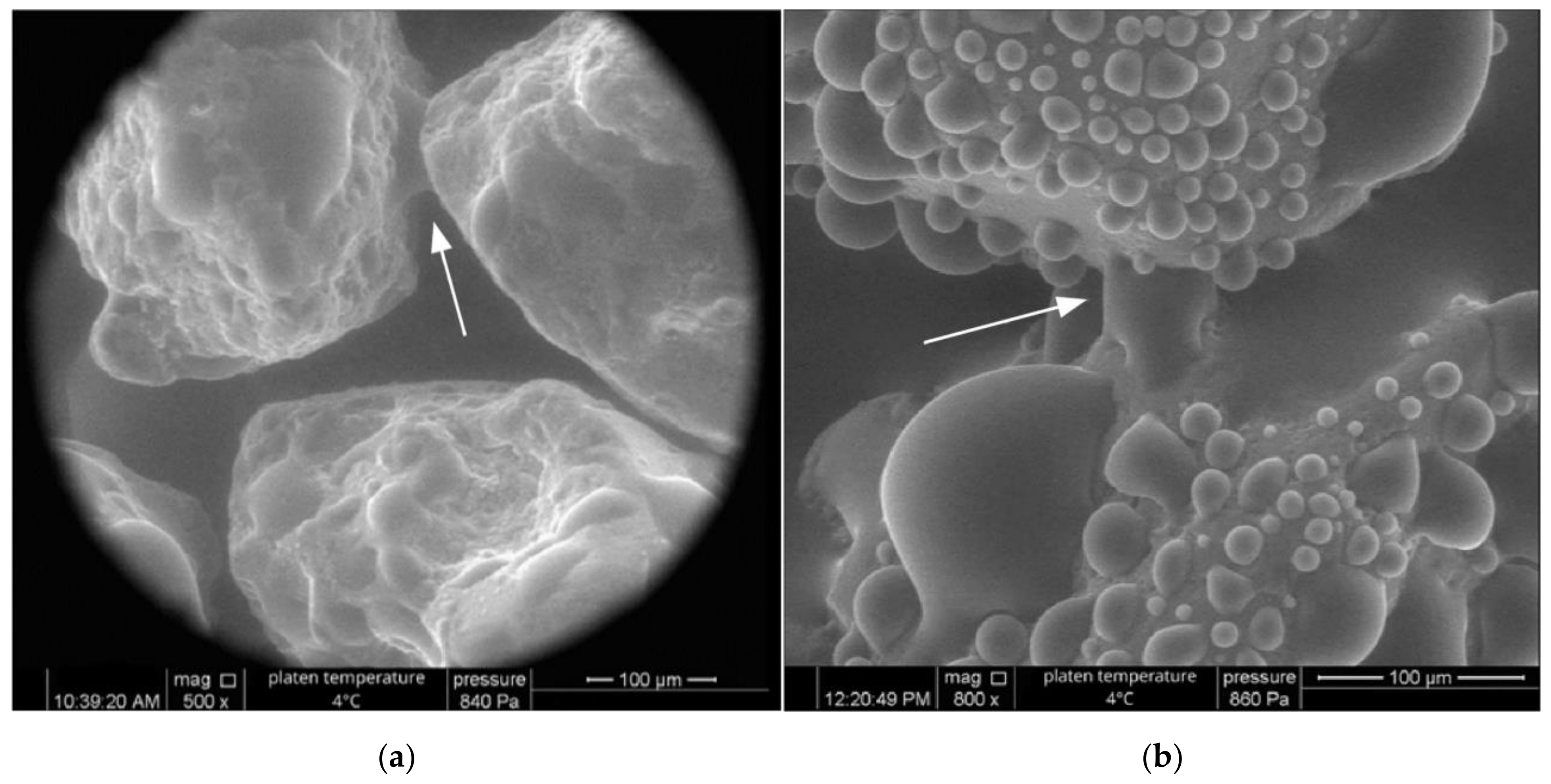 Applsci 11 05966 g007 550