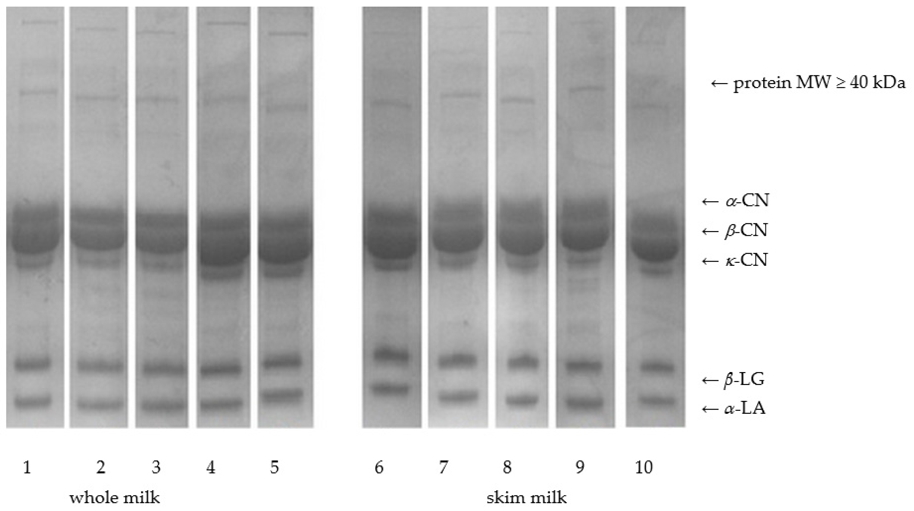 Applsci 11 05982 g002