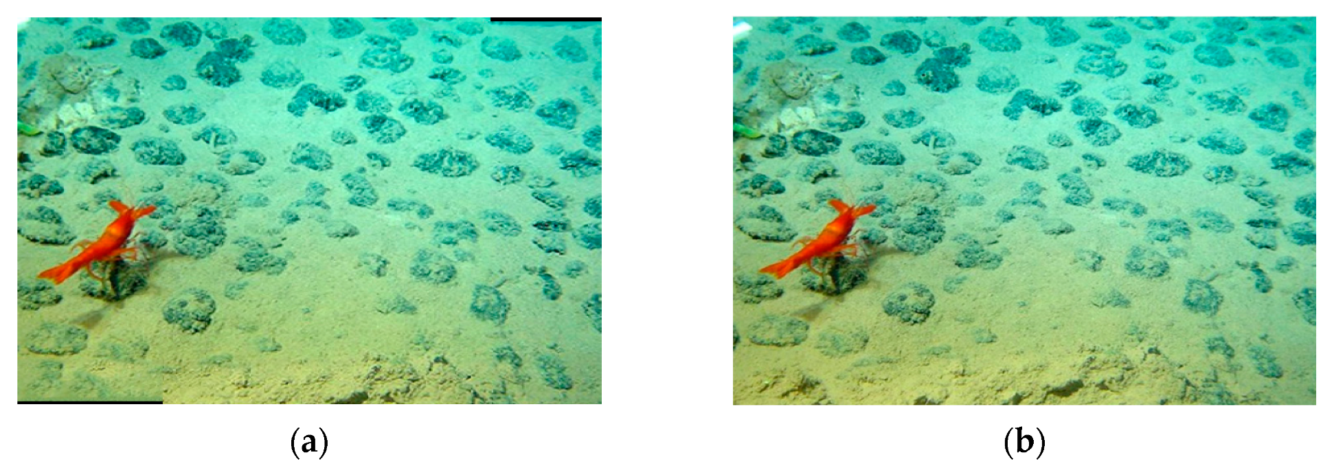 Applsci 11 05986 g017 550