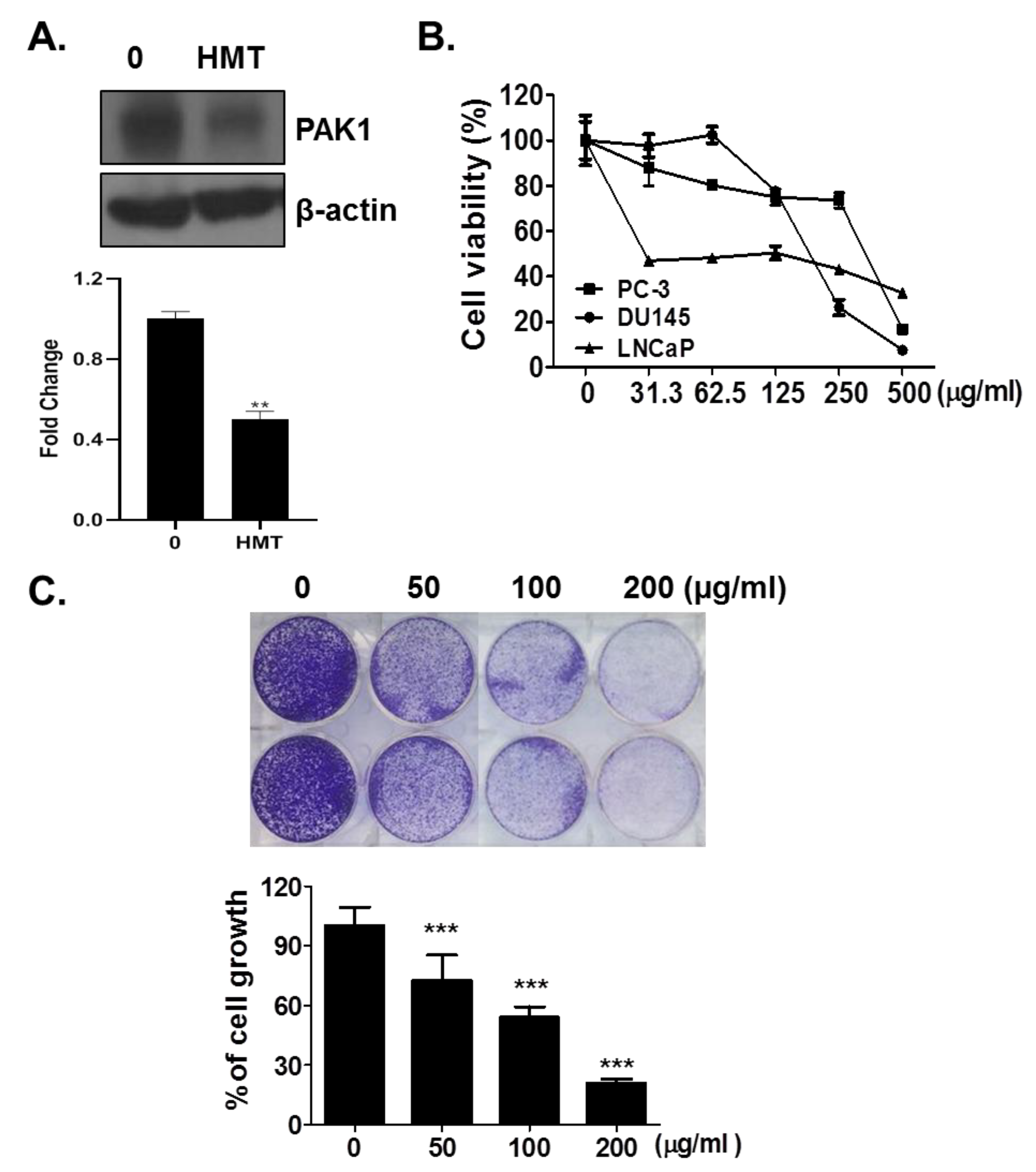 Applsci 11 06034 g001