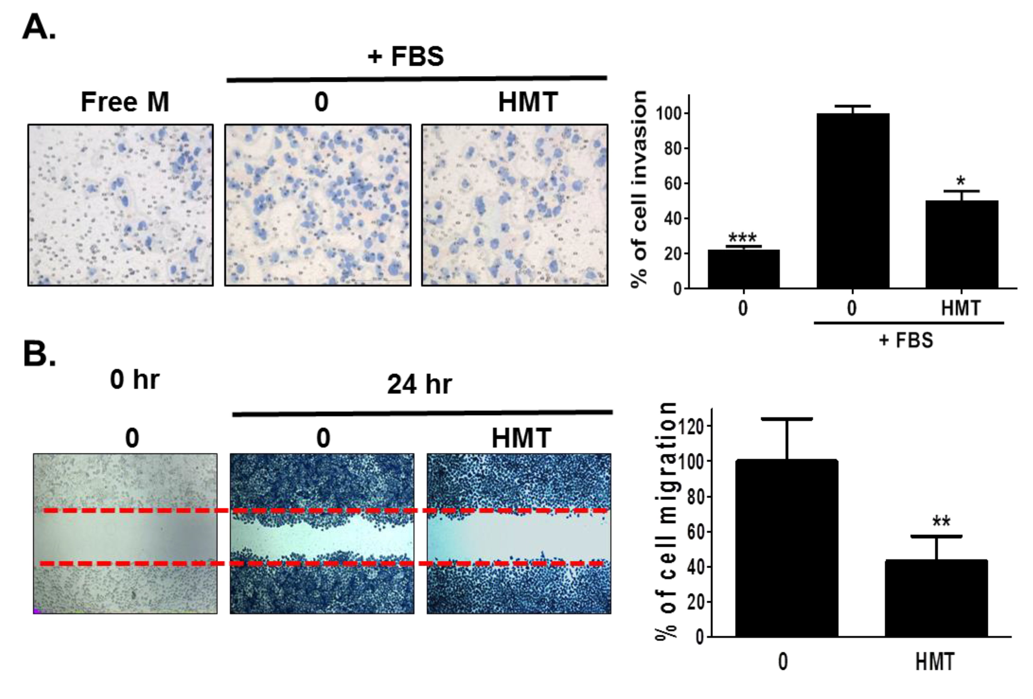 Applsci 11 06034 g002a