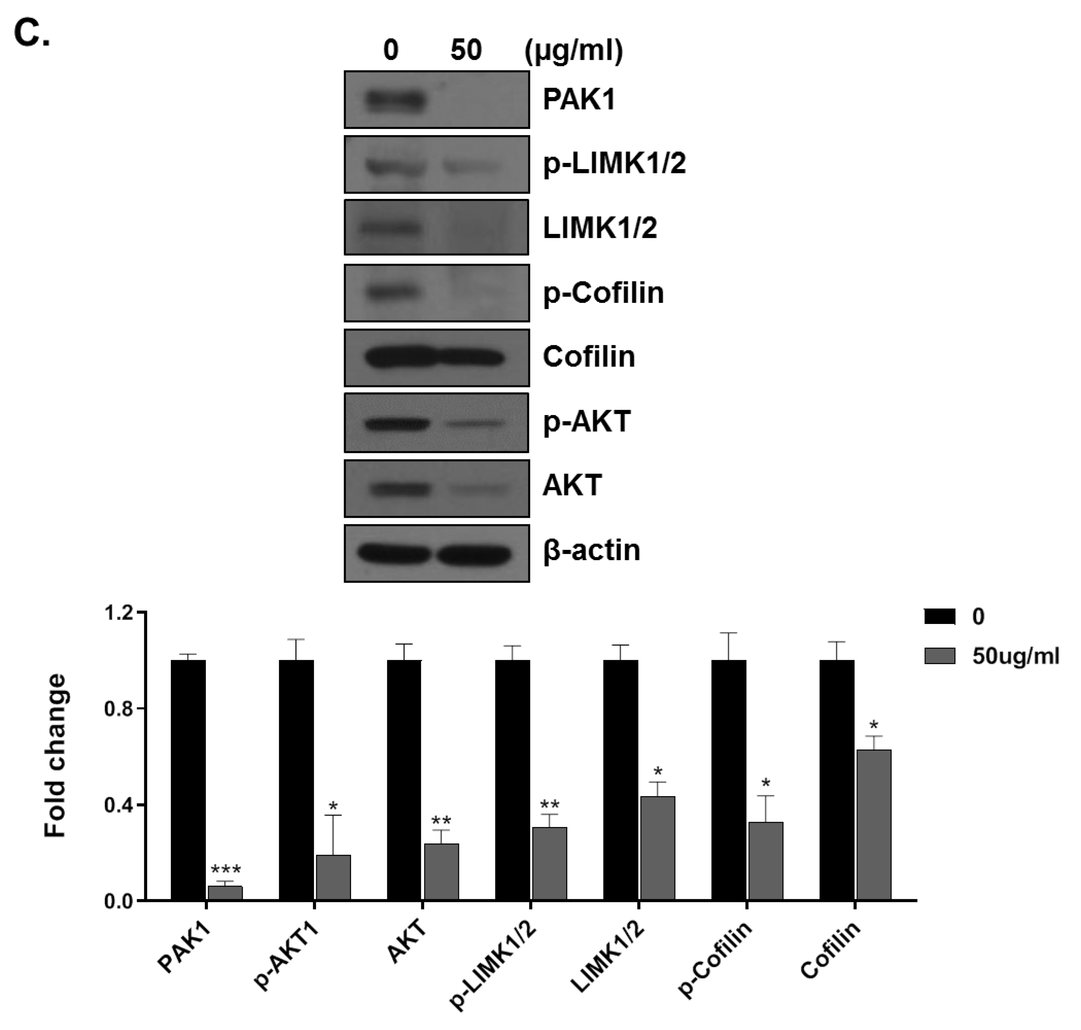 Applsci 11 06034 g002b