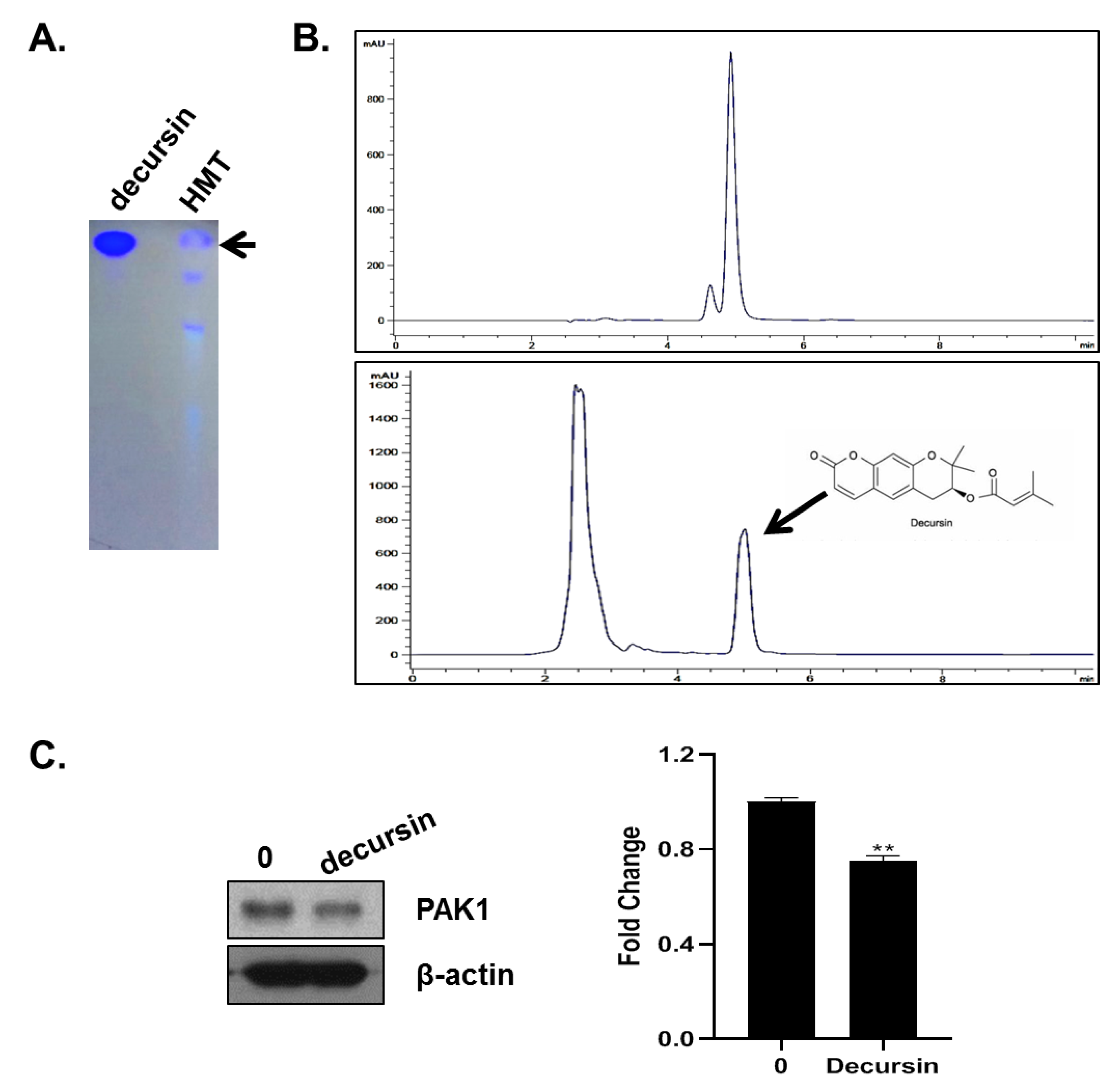 Applsci 11 06034 g006