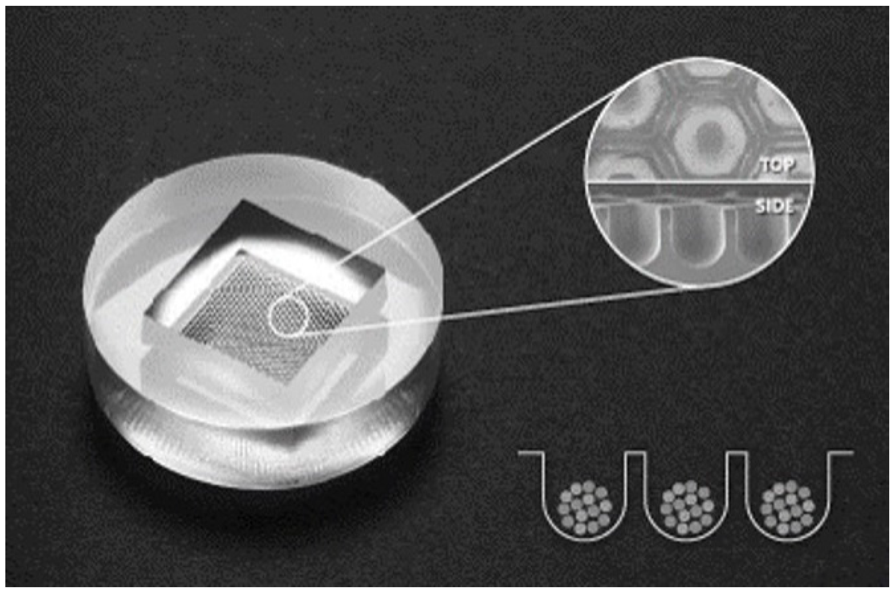 Applsci 11 06040 g001 Applsci 11 06040 g001