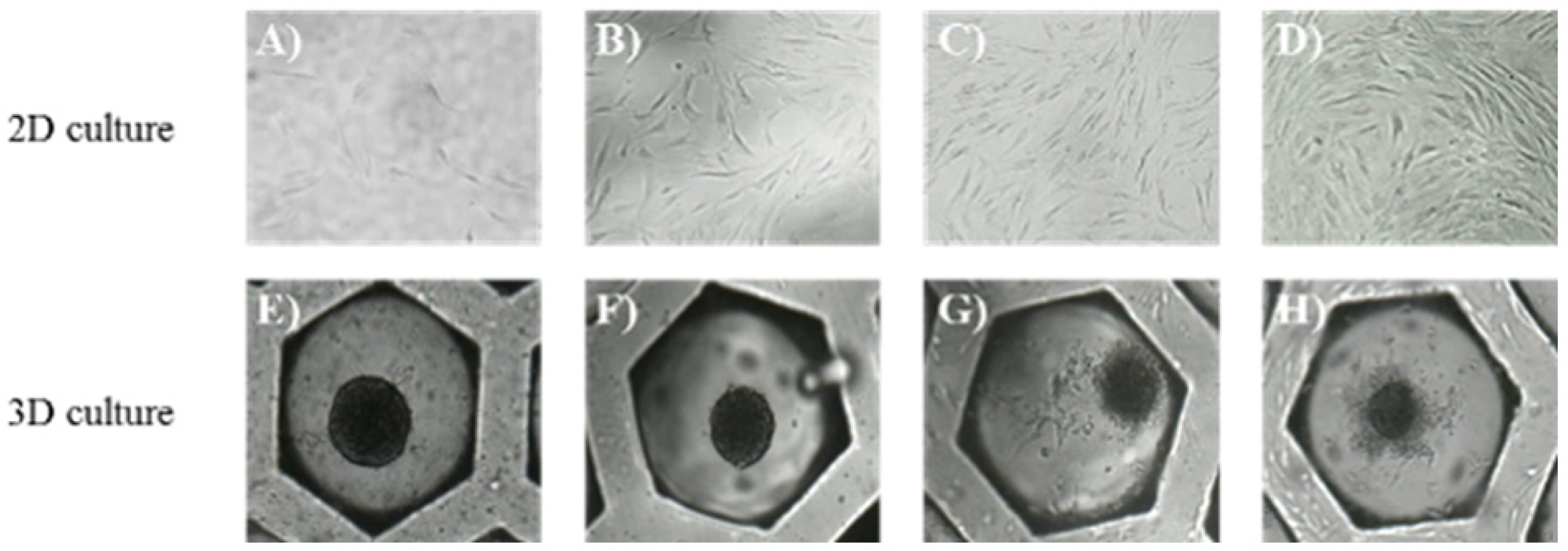Applsci 11 06040 g002 Applsci 11 06040 g002