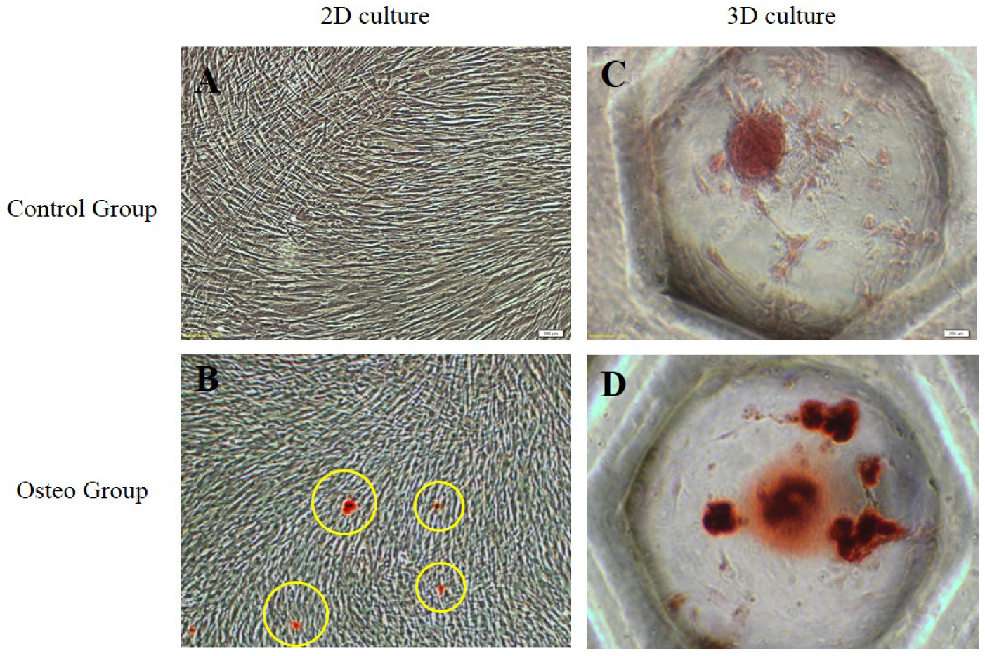 Applsci 11 06040 g005 Applsci 11 06040 g005