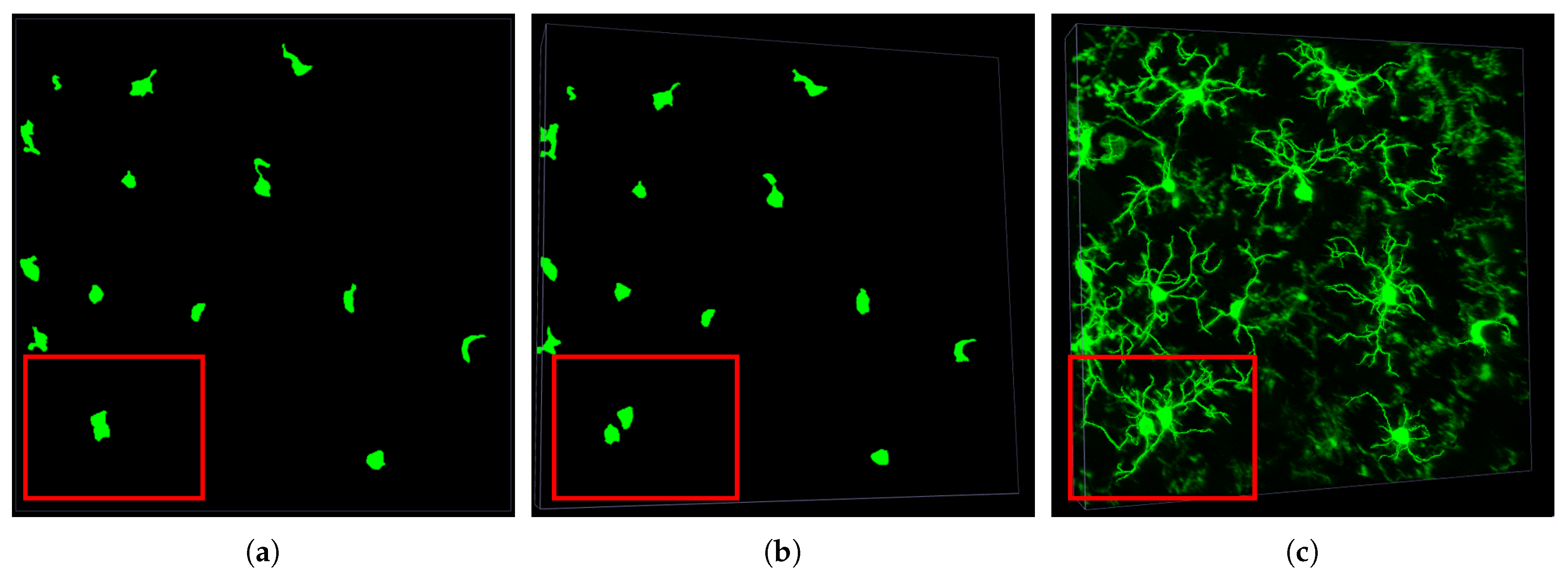 Applsci 11 06078 g004
