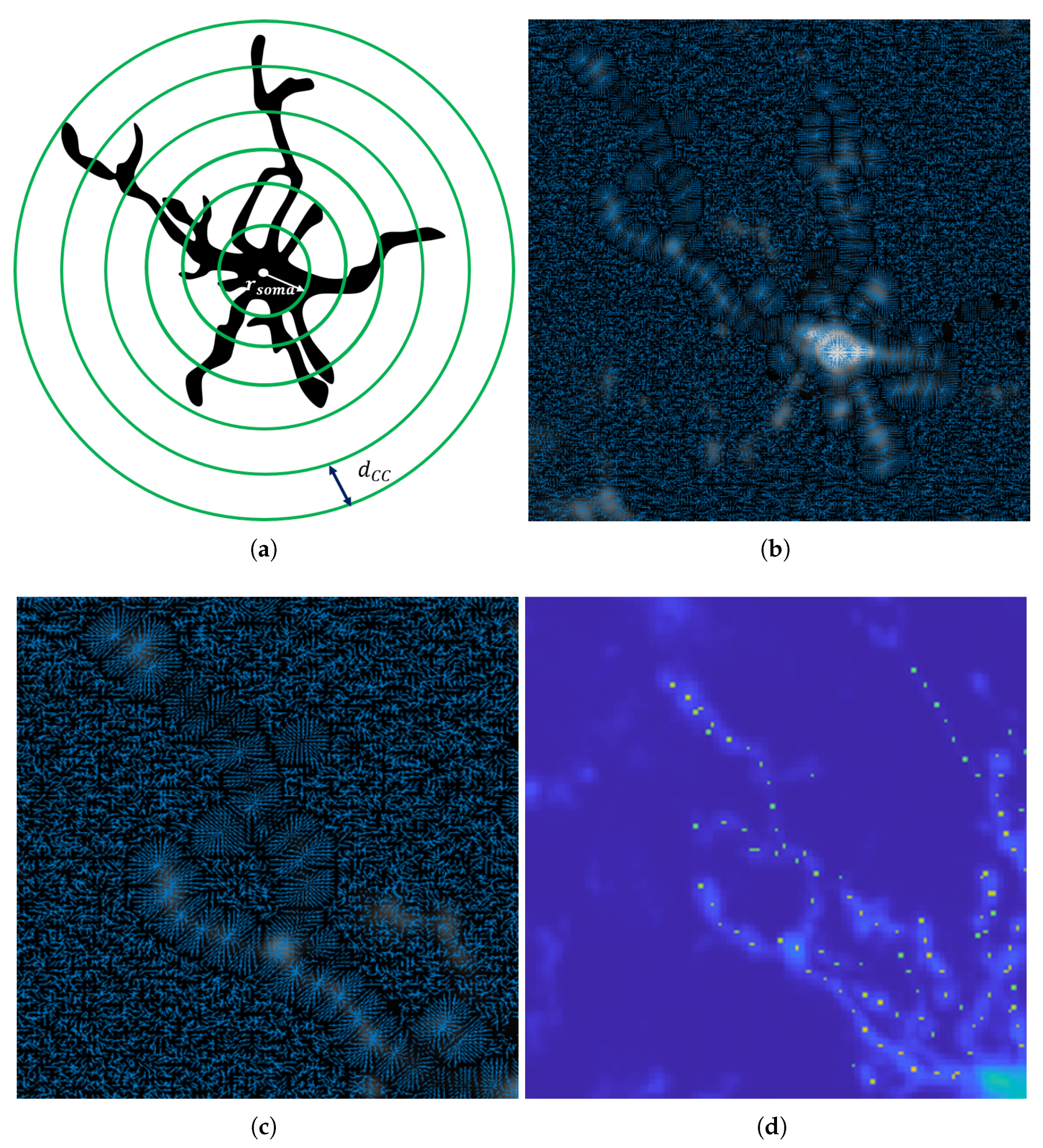 Applsci 11 06078 g005