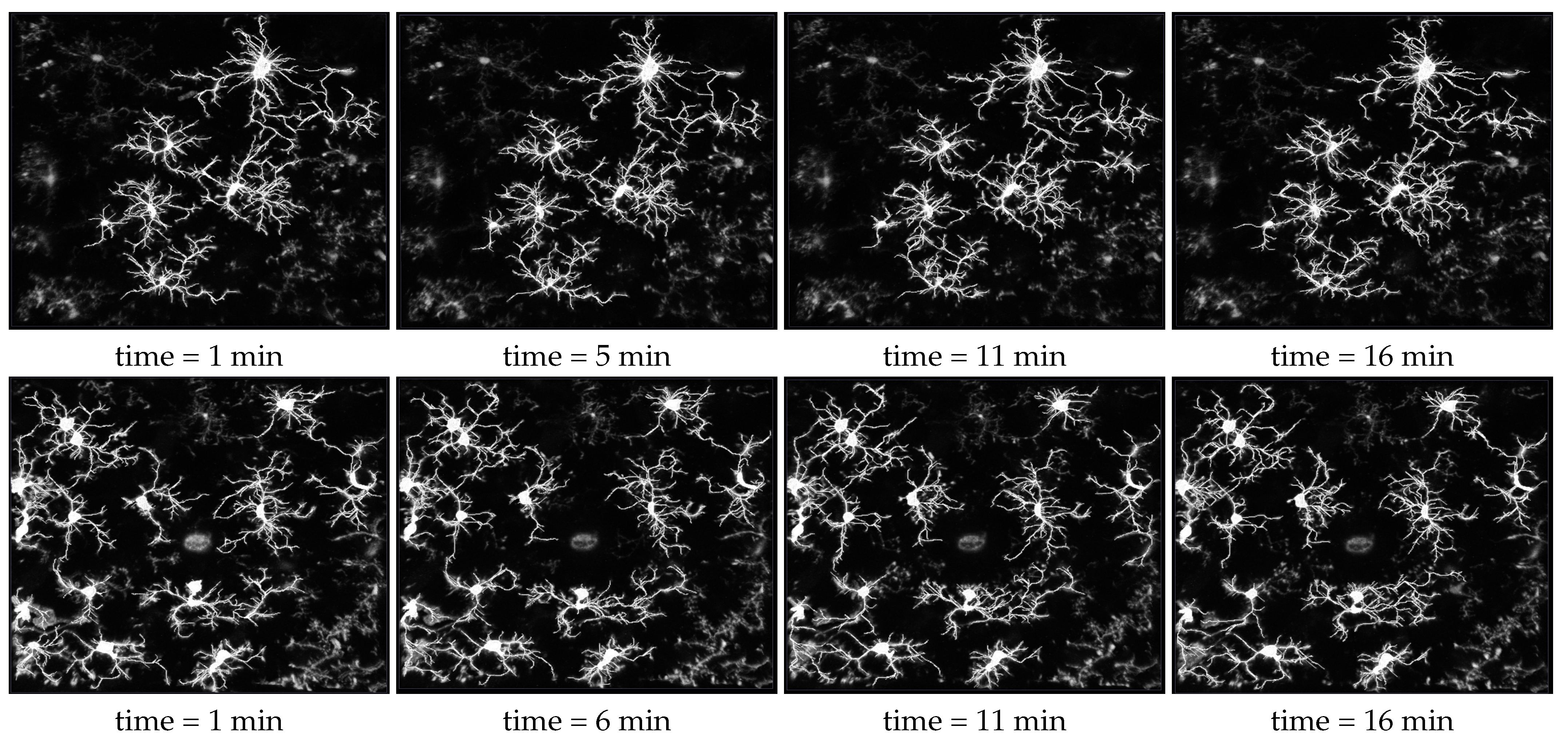 Applsci 11 06078 g008