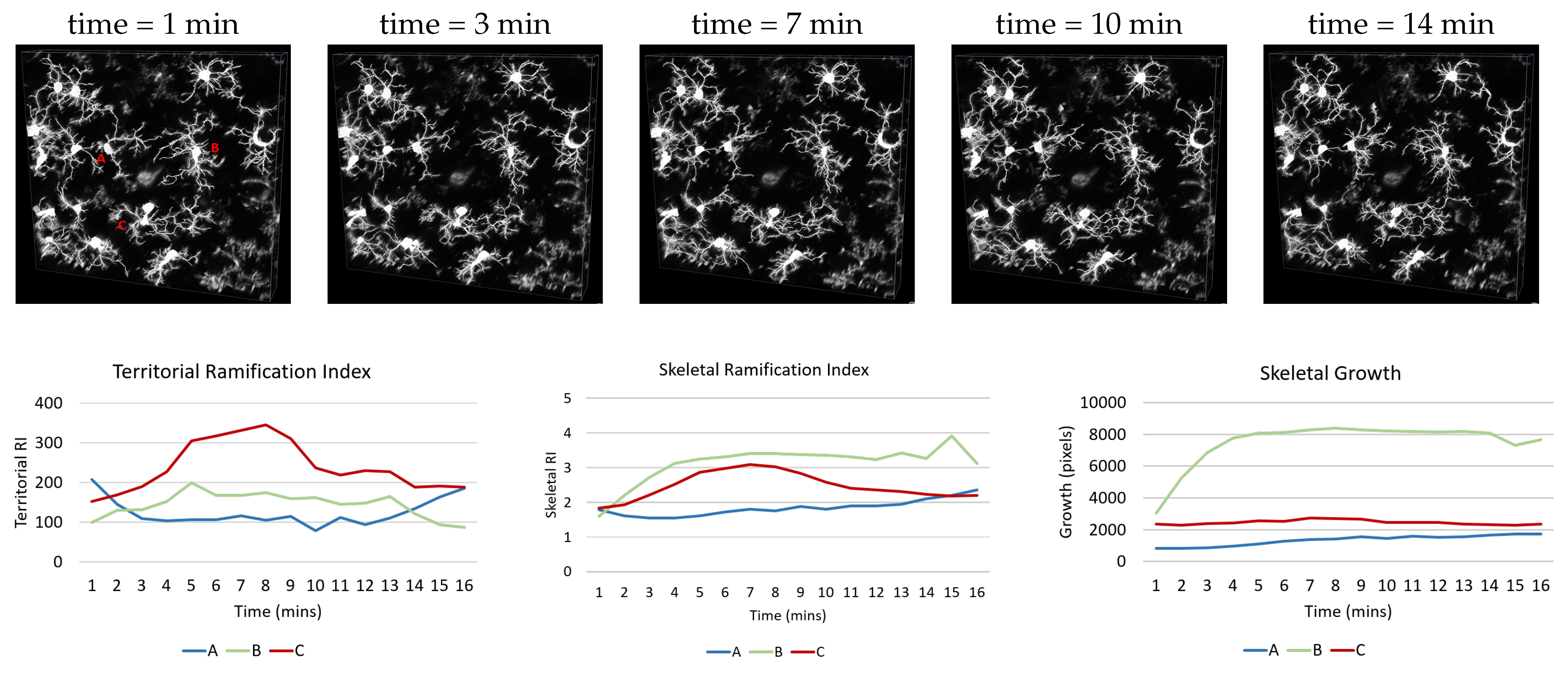 Applsci 11 06078 g010