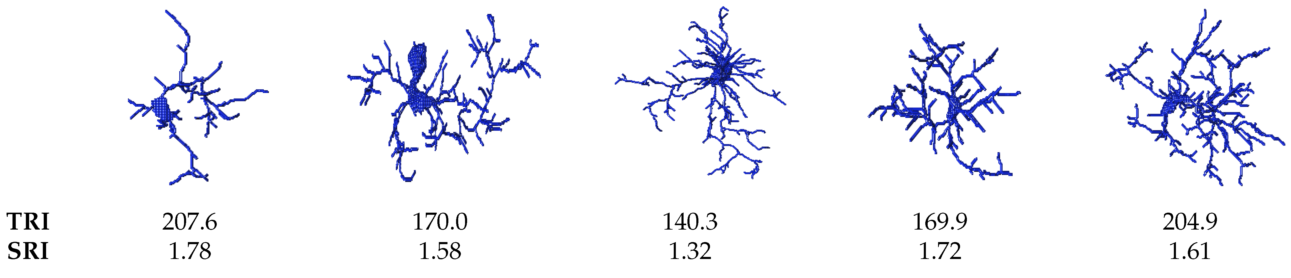 Applsci 11 06078 g011