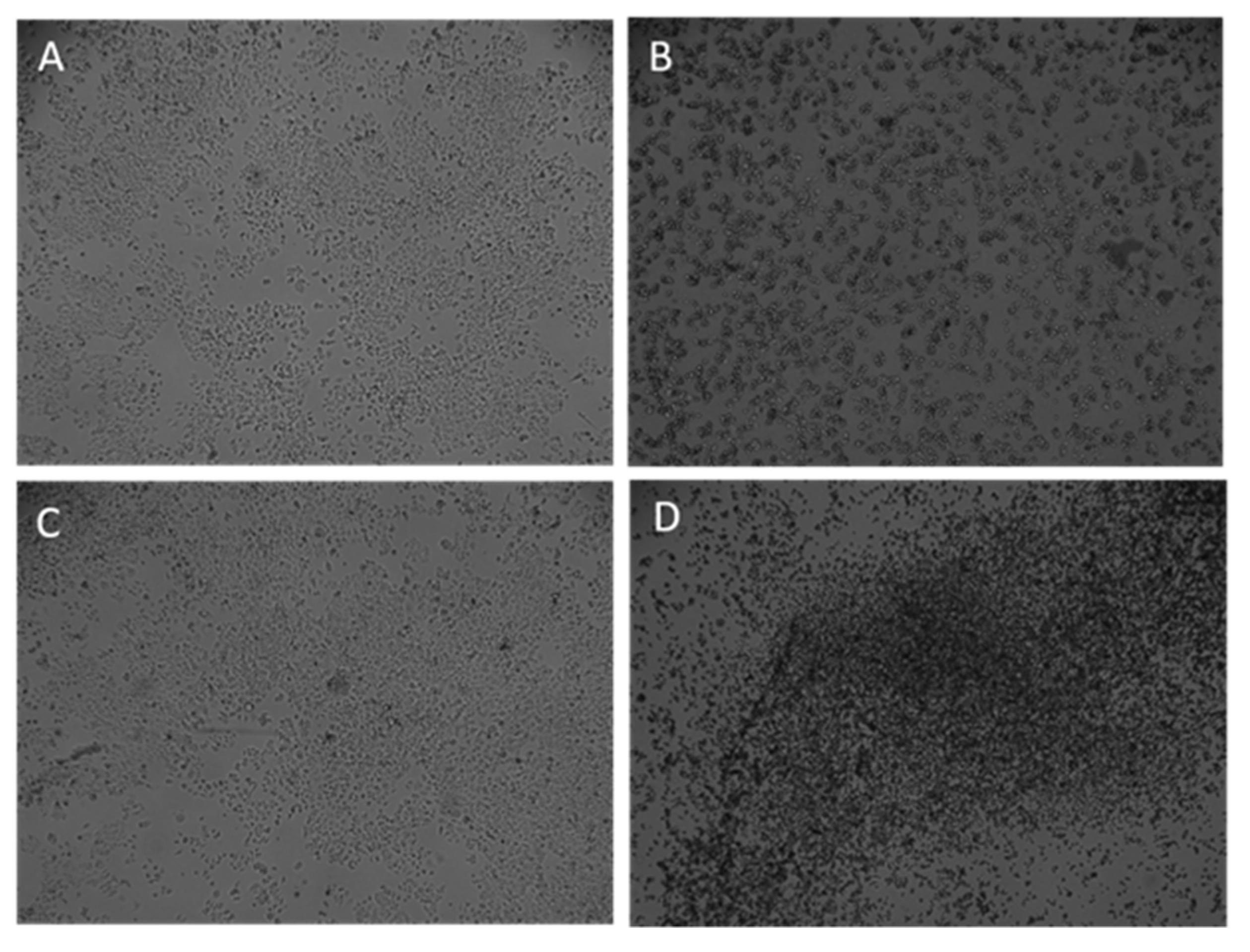 Applsci 11 06082 g002 Applsci 11 06082 g002