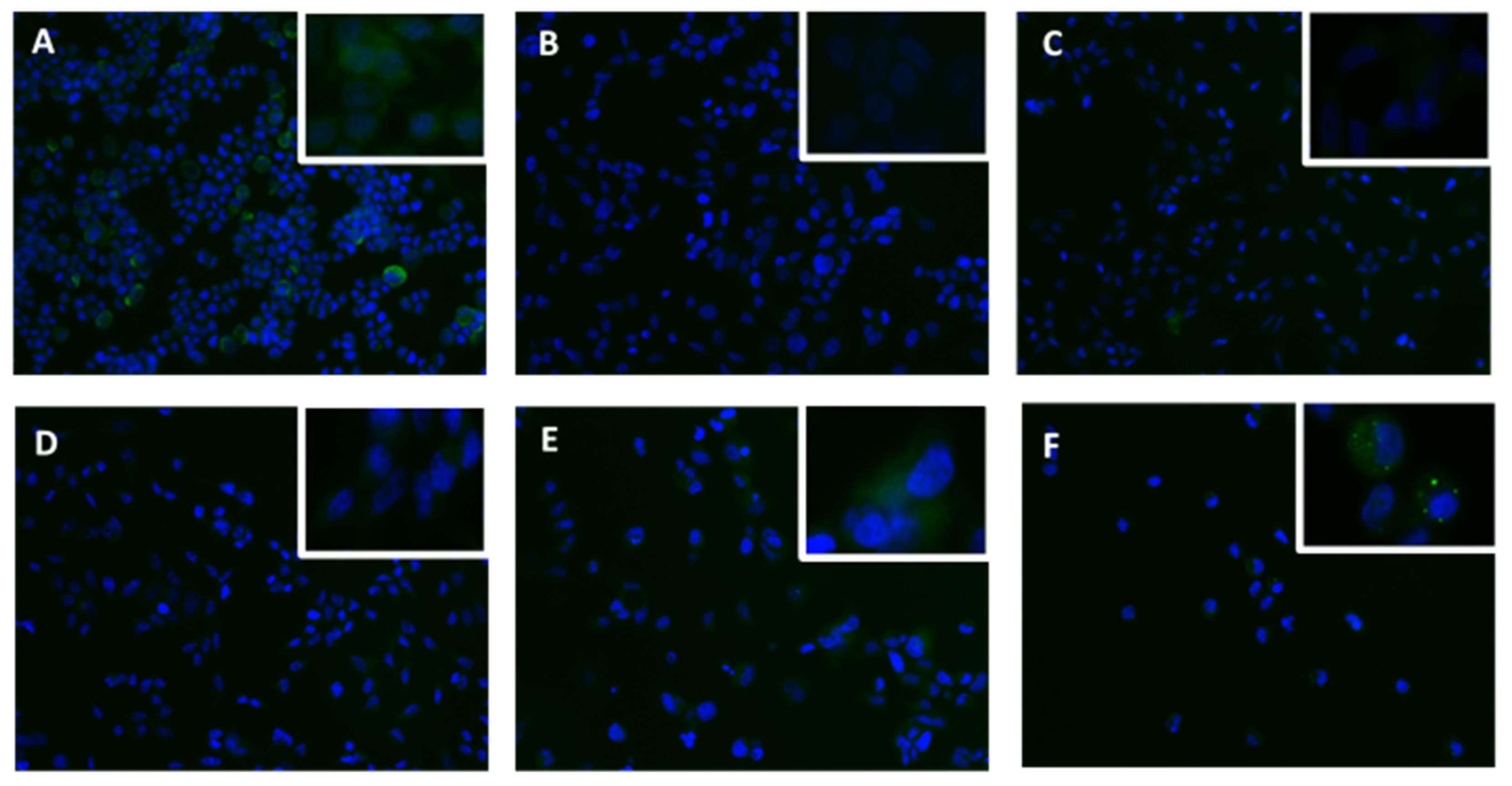 Applsci 11 06082 g020 Applsci 11 06082 g020
