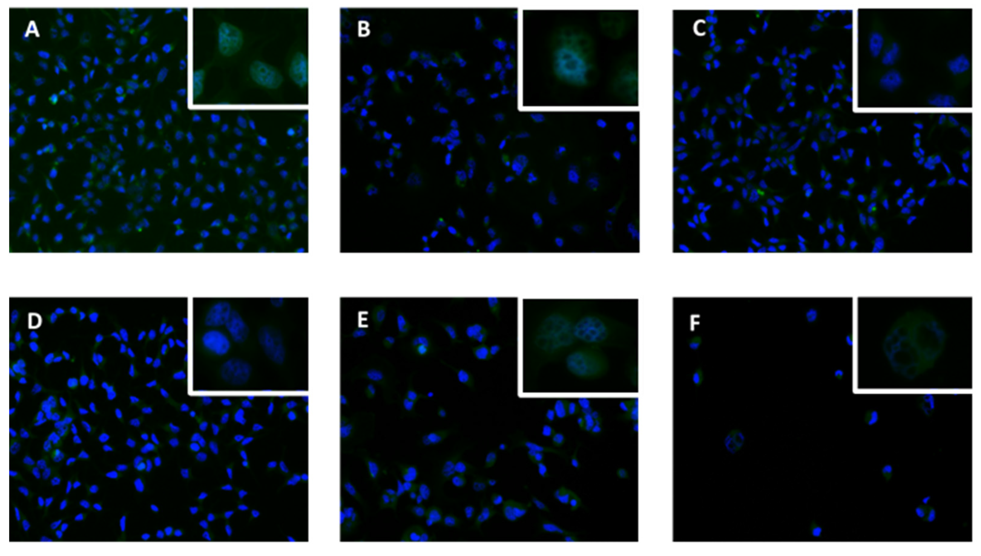 Applsci 11 06082 g021 Applsci 11 06082 g021