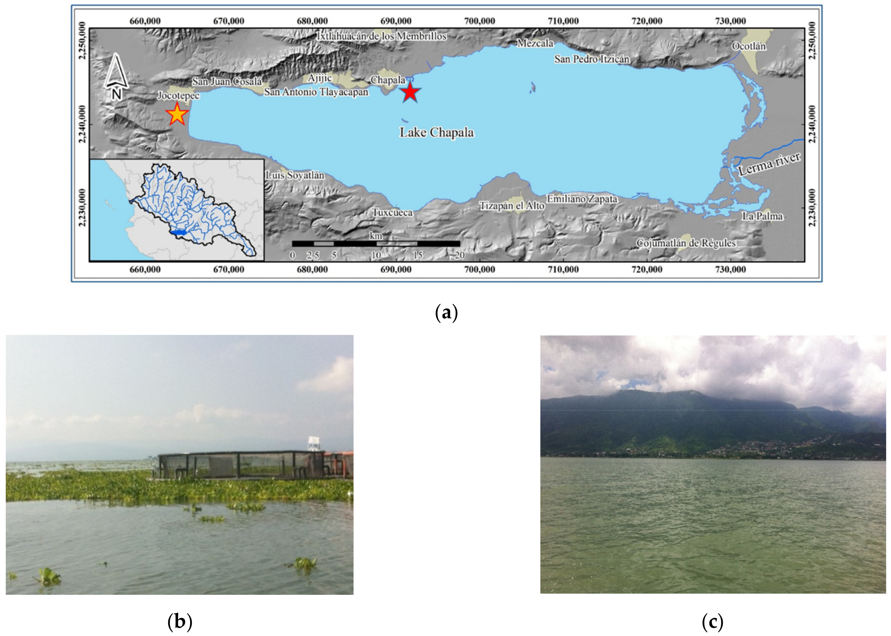 Applsci 11 06087 g001