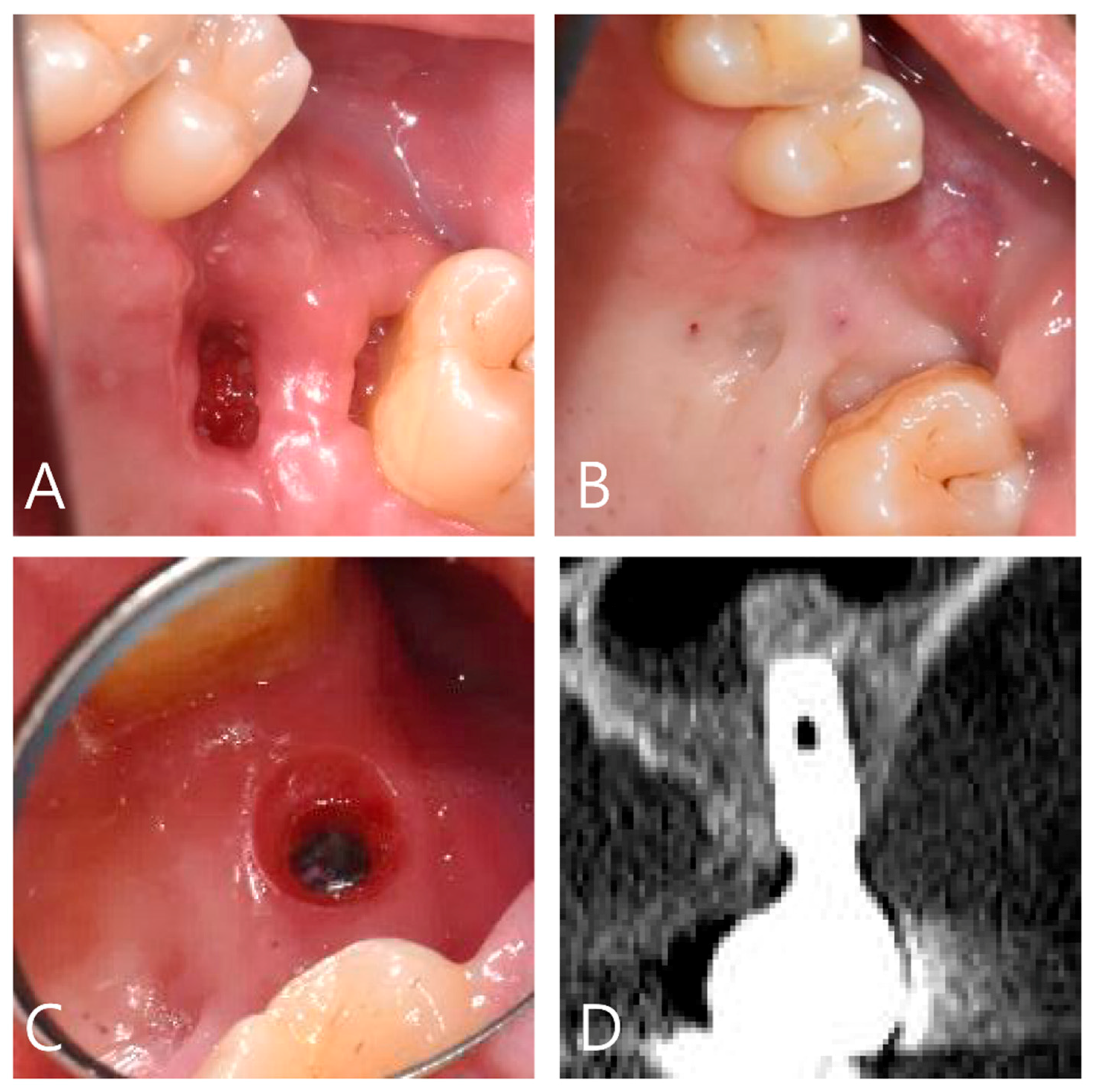 Applsci 11 06115 g003 550