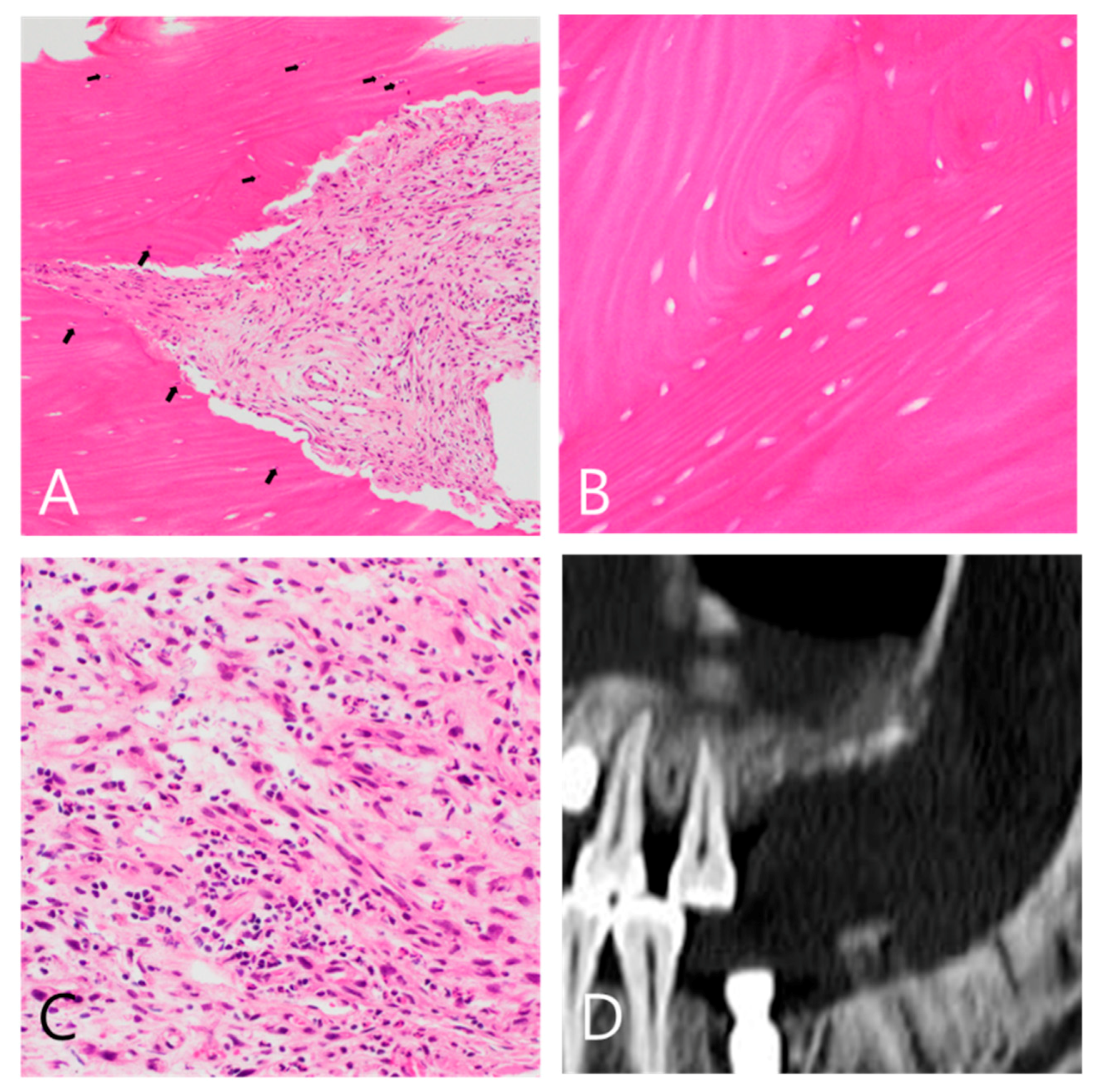 Applsci 11 06115 g005 550