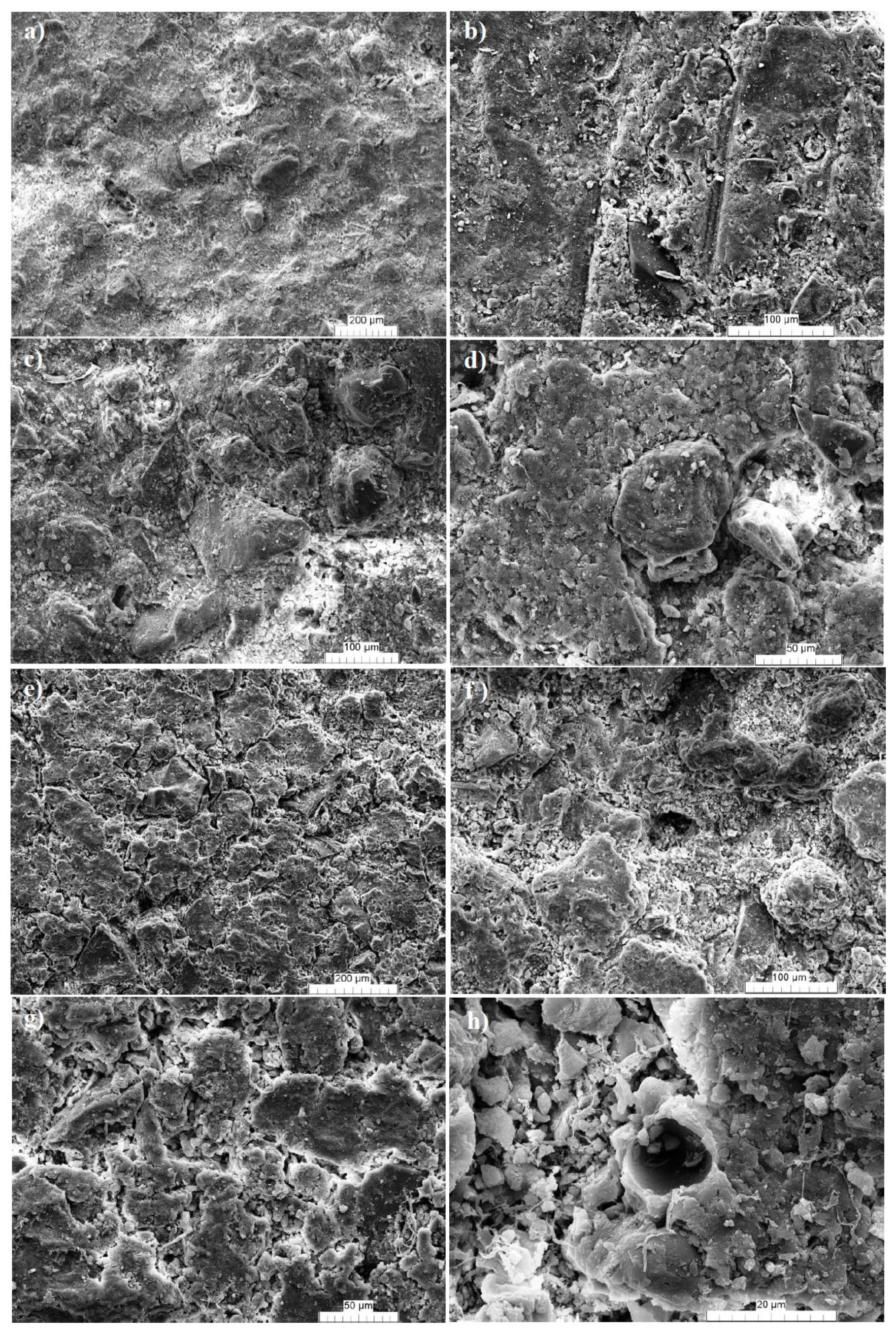 Applsci 11 06118 g009 550