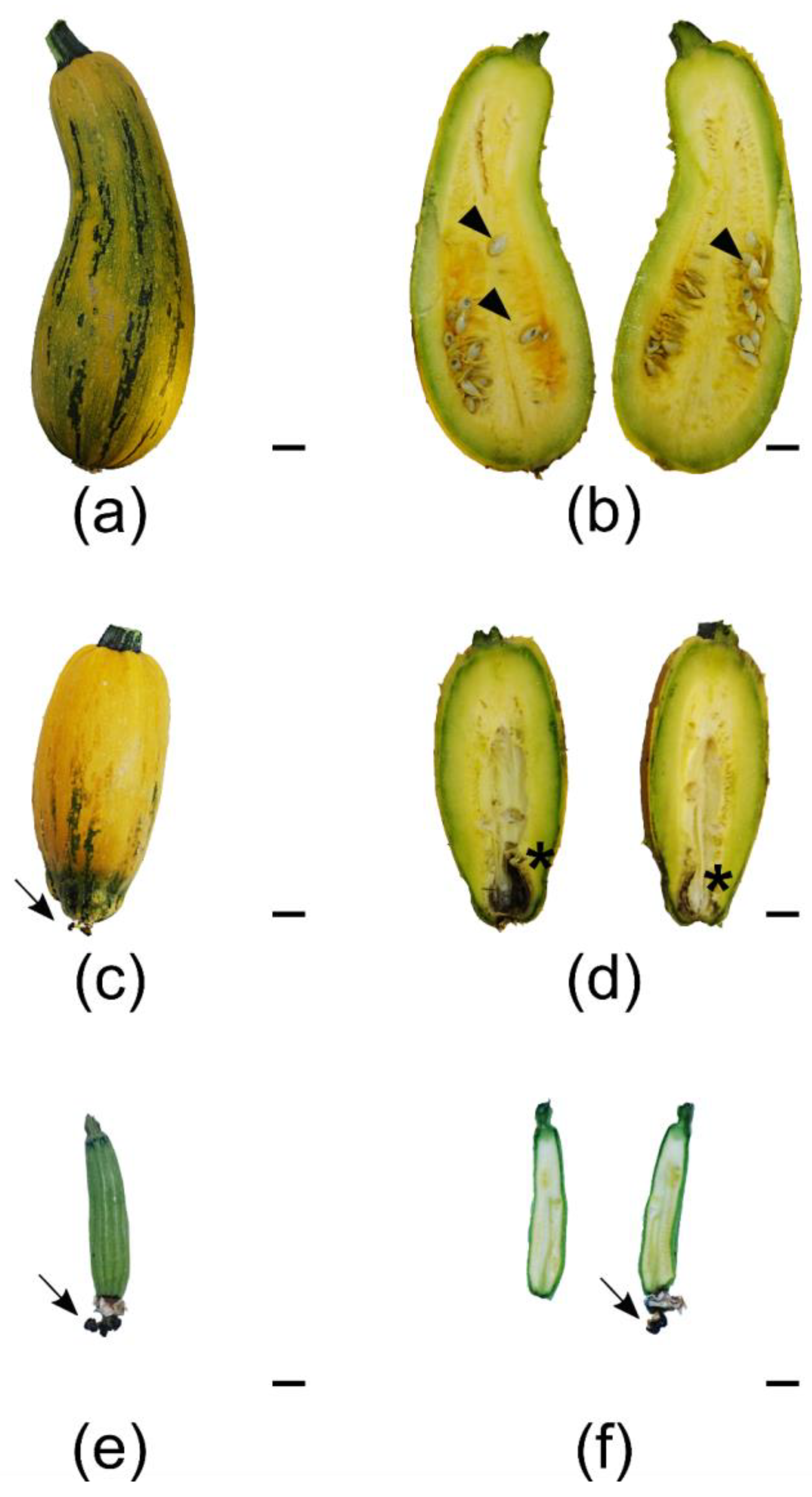 Applsci 11 06150 g004