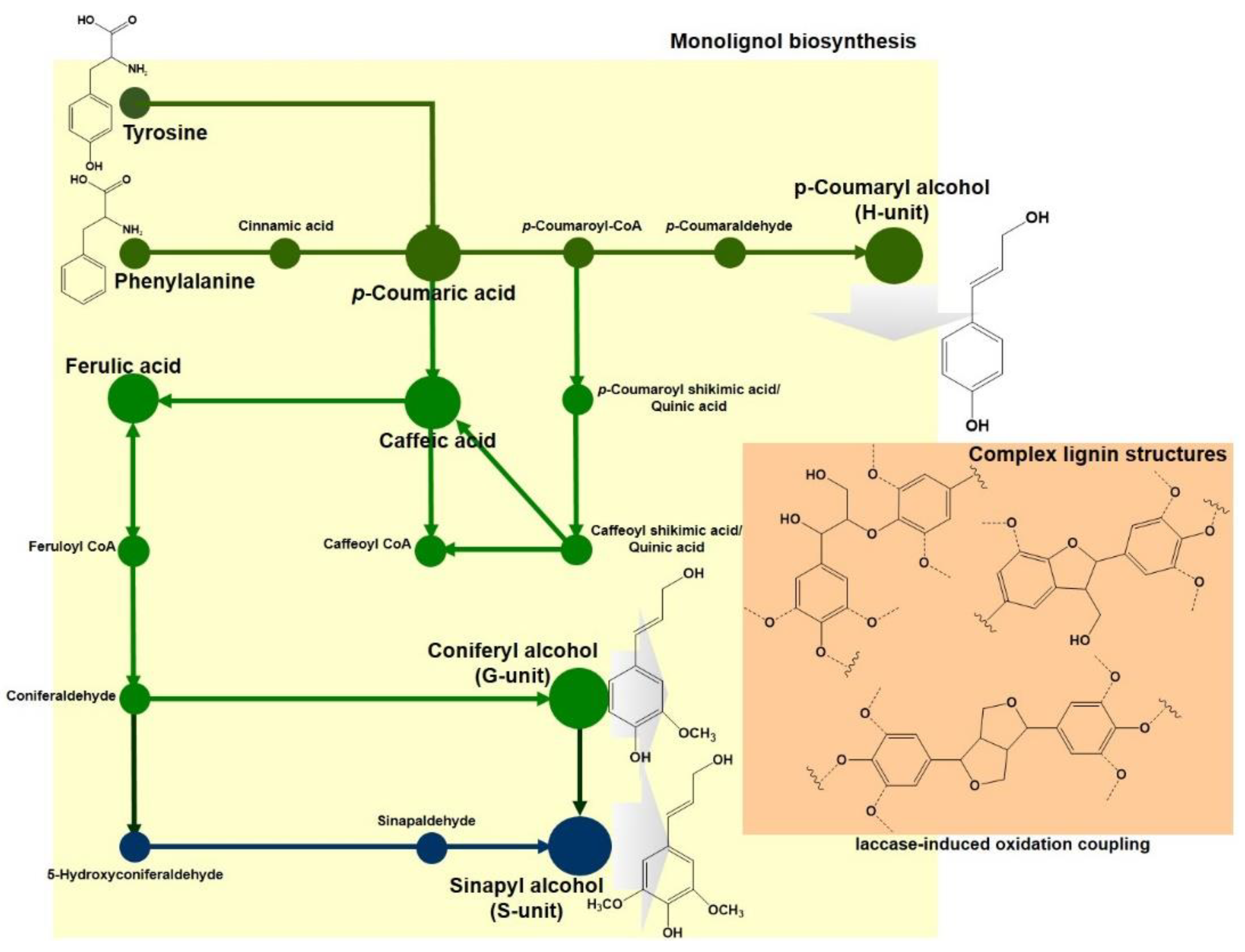 Applsci 11 06161 g001