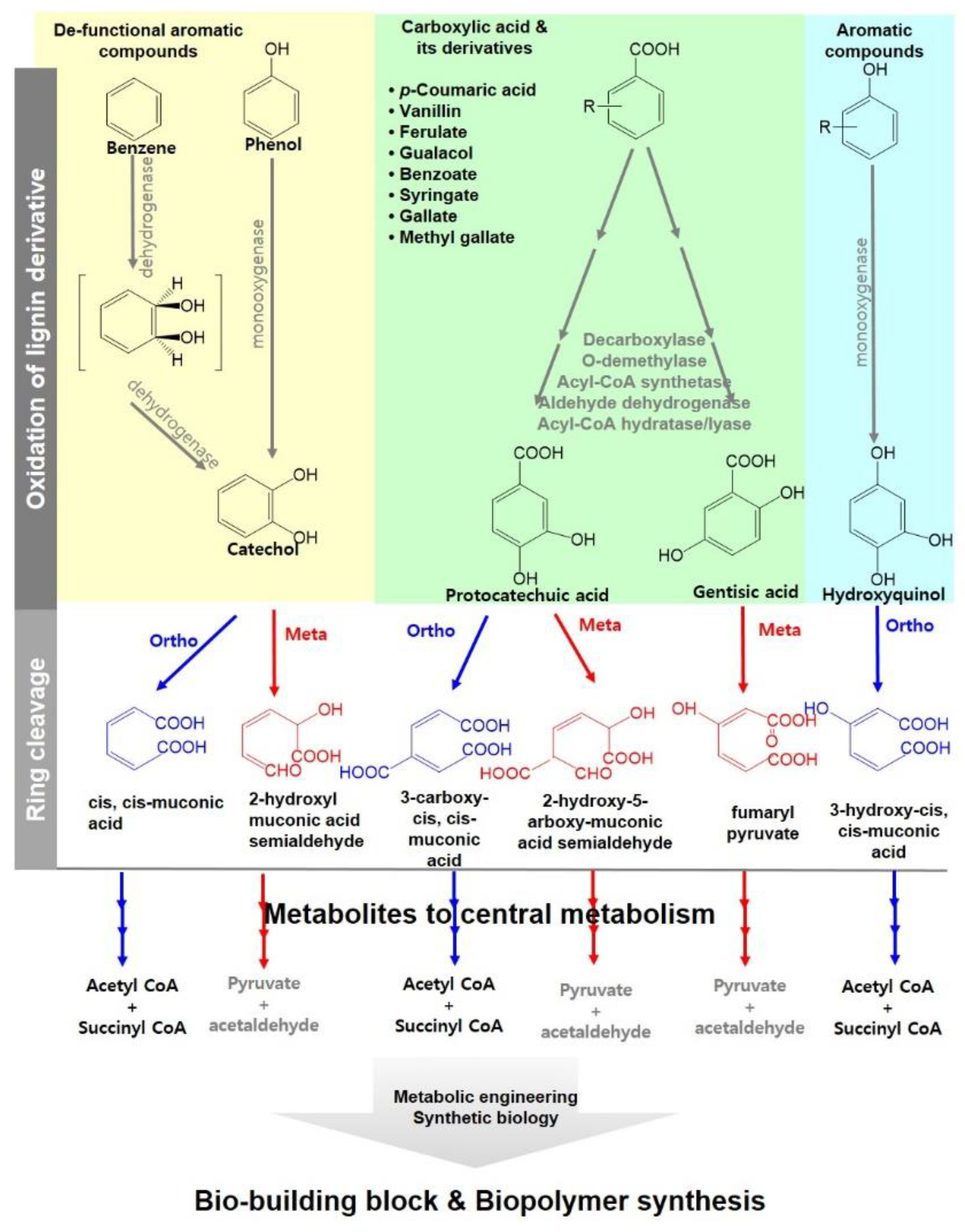 Applsci 11 06161 g005