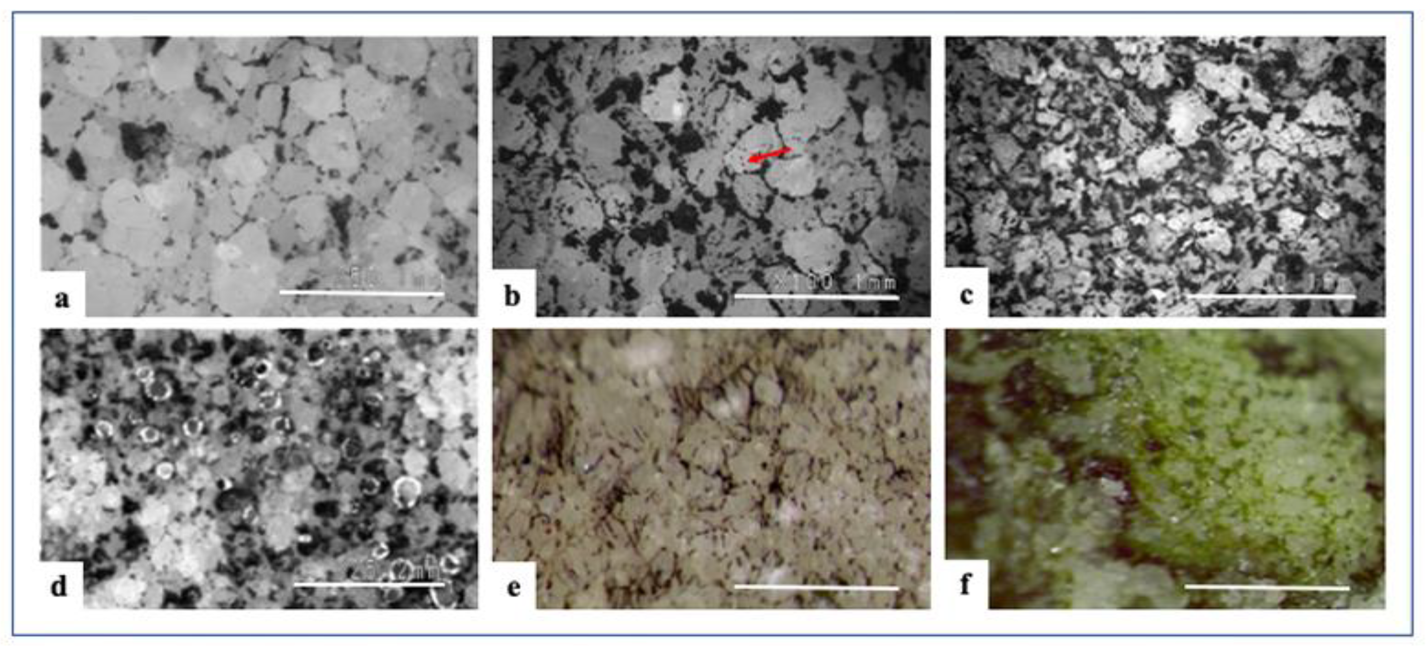 Applsci 11 06163 g002