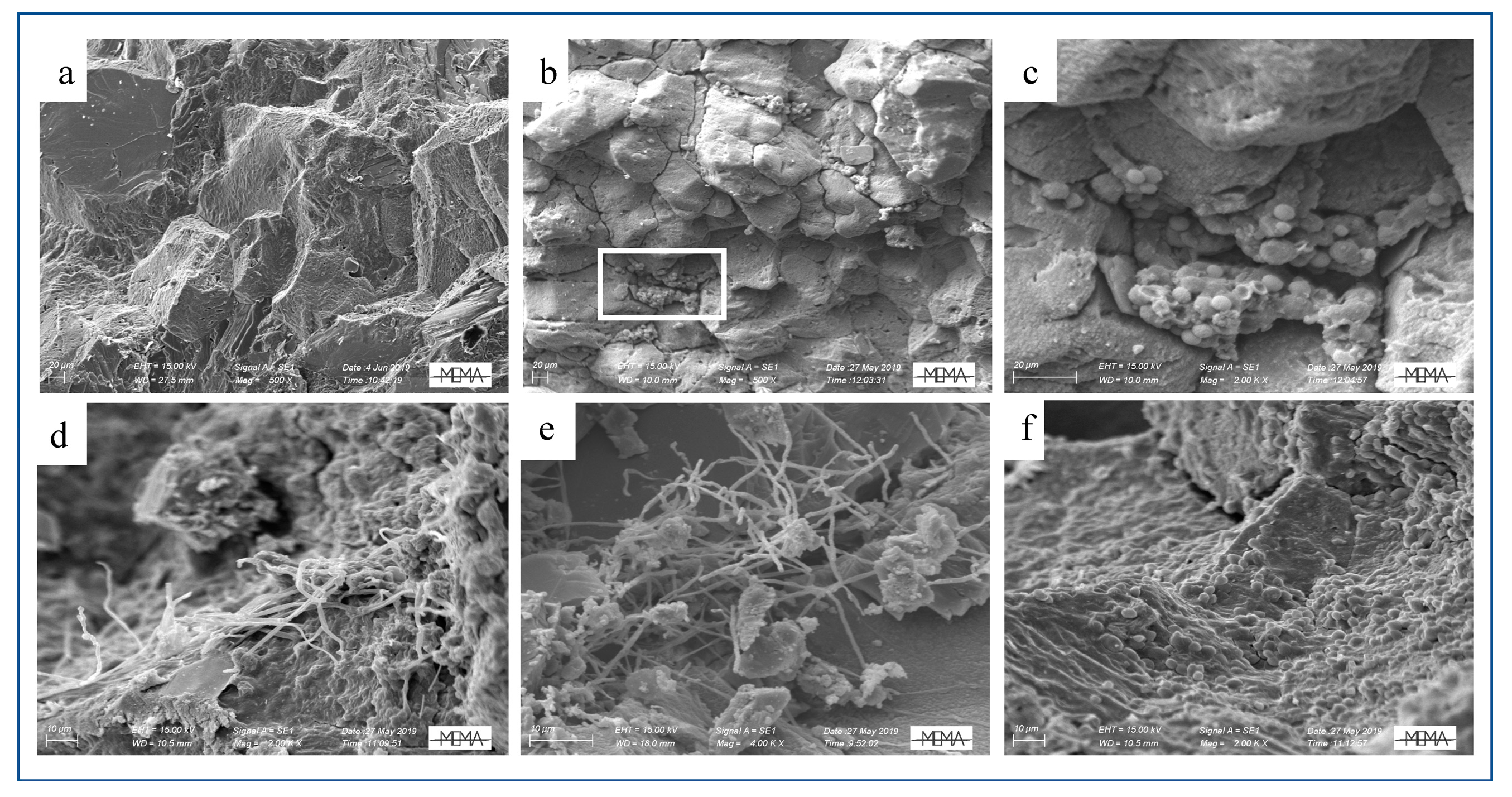 Applsci 11 06163 g005