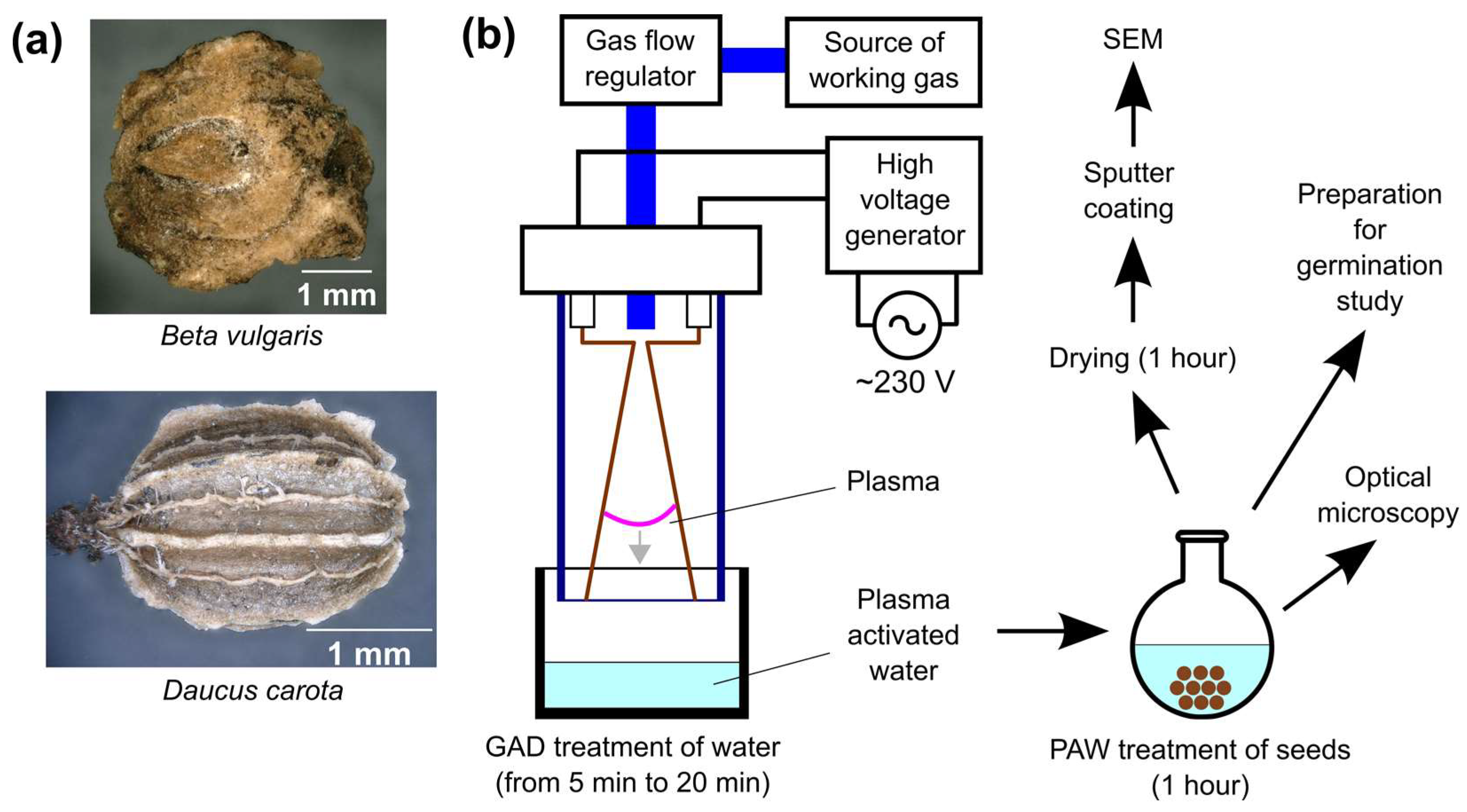 Applsci 11 06164 g001 Applsci 11 06164 g001